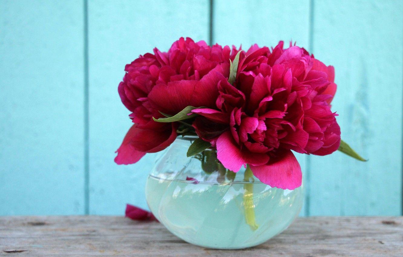 1332x850 Wallpaper flowers, background, Wallpaper, bouquet, peonies, peony