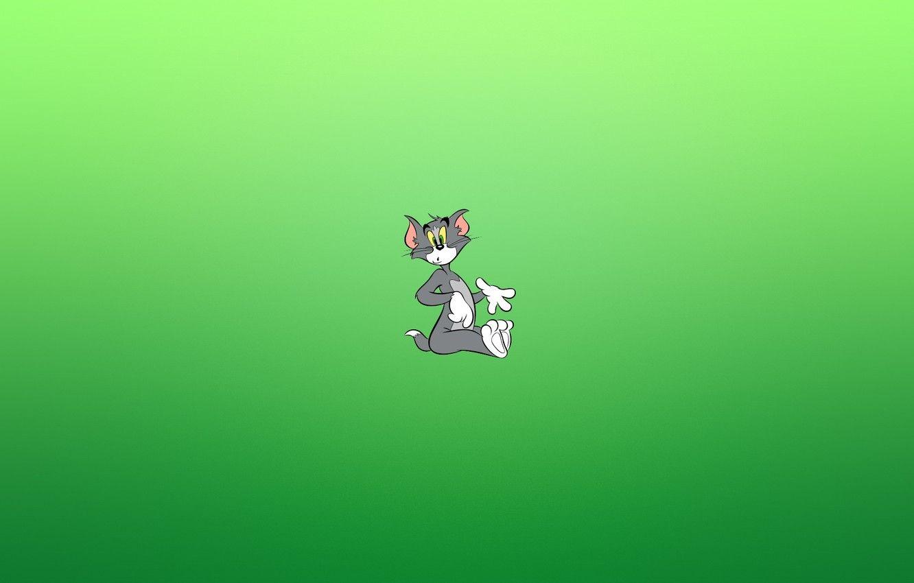 1332x850 Wallpaper cat, look, surprise, minimalism, Tom and Jerry, Tom