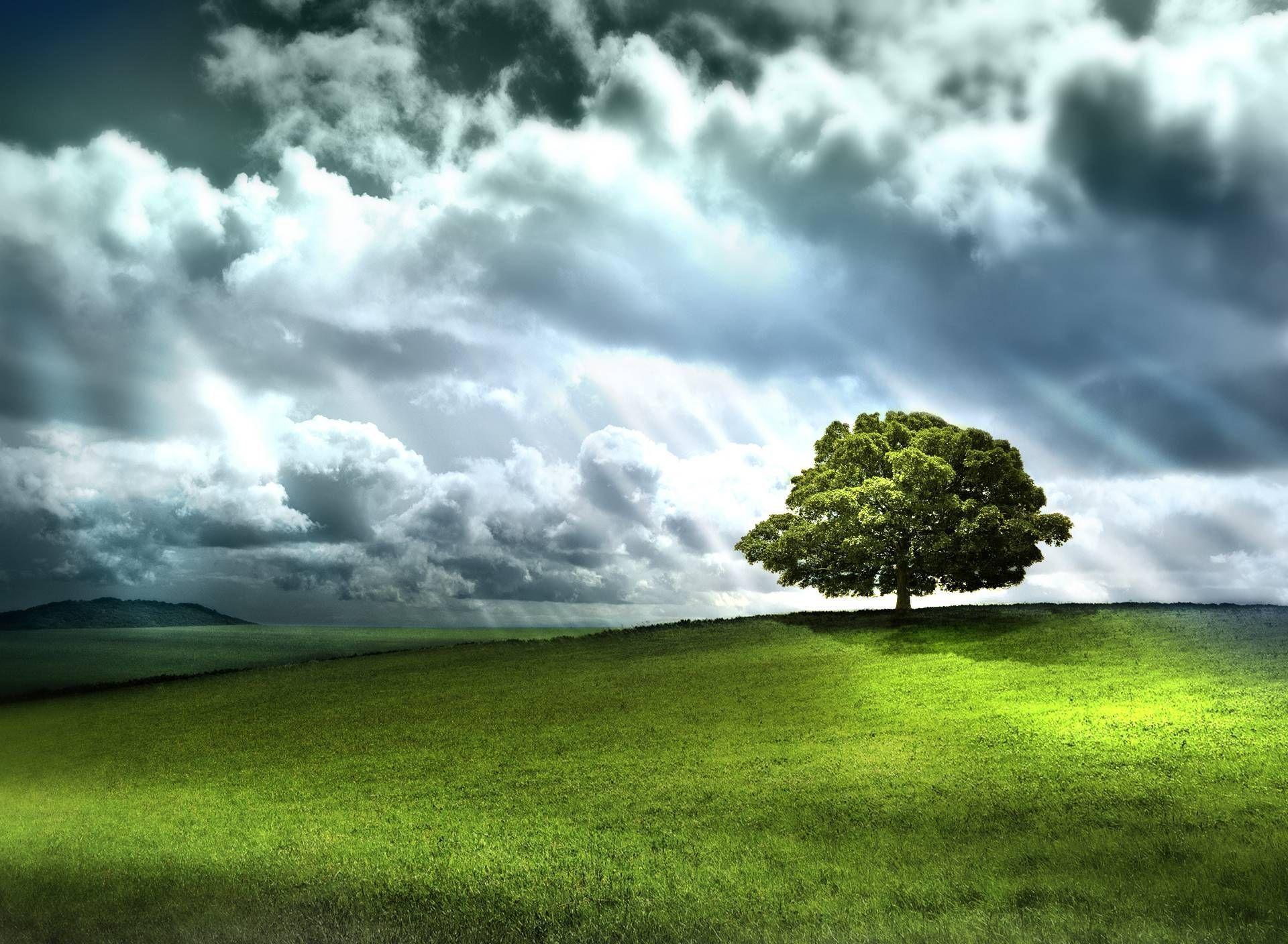 1920x1408 Wallpaper for ASUS Transformer. Wallpaper, Live