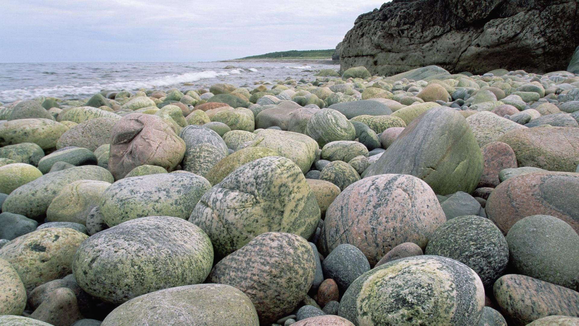 1920x1080 Newfoundland Wallpaper
