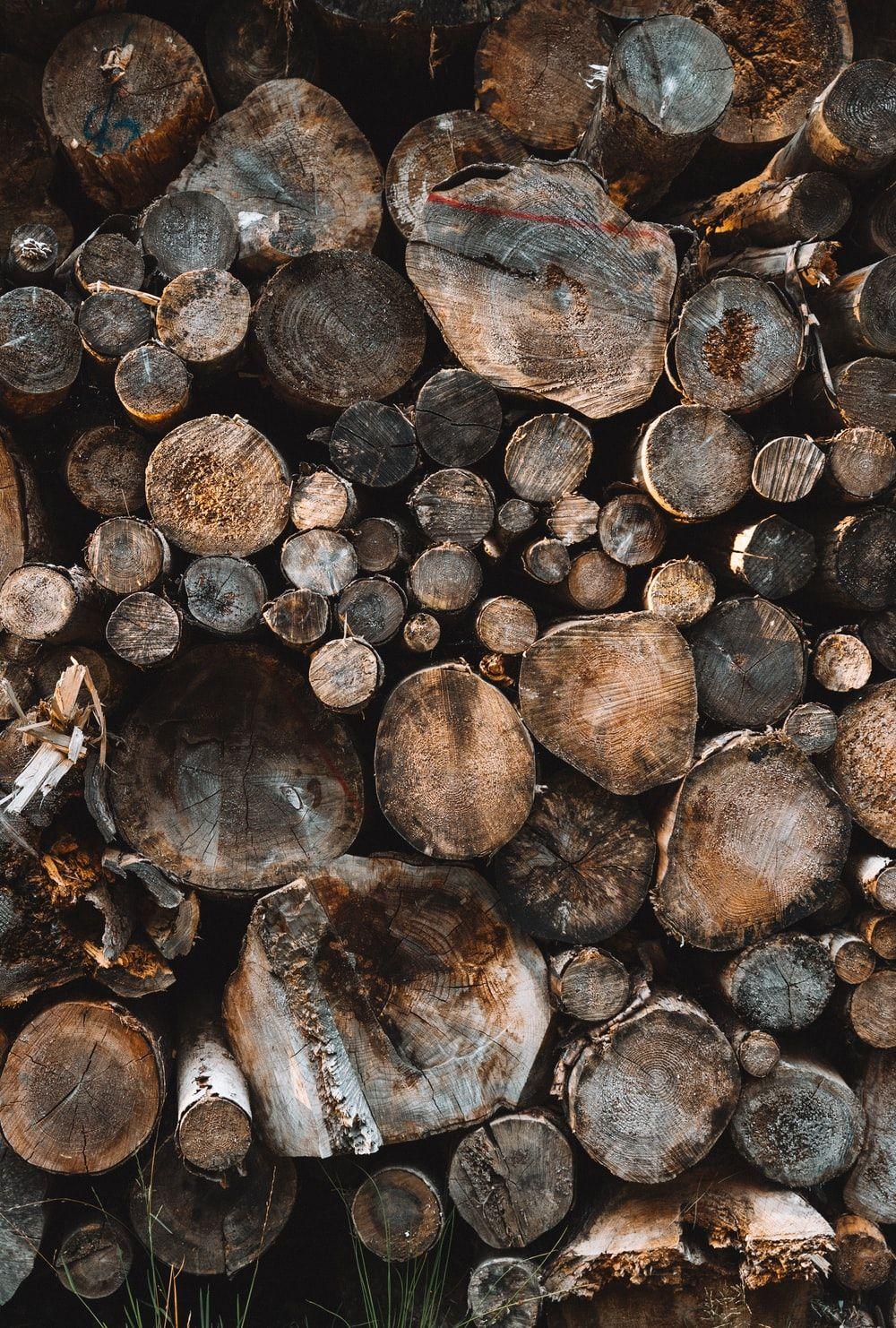 1000x1482 Wood Background Image: Download HD Background