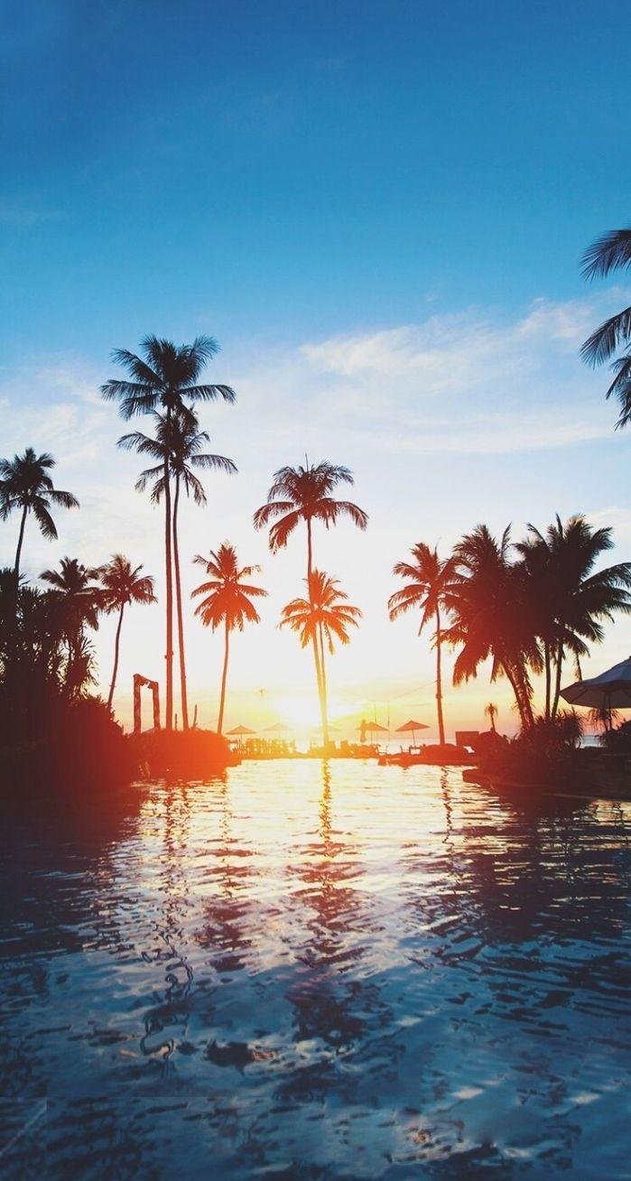 699x1308 Paradise Wallpaper