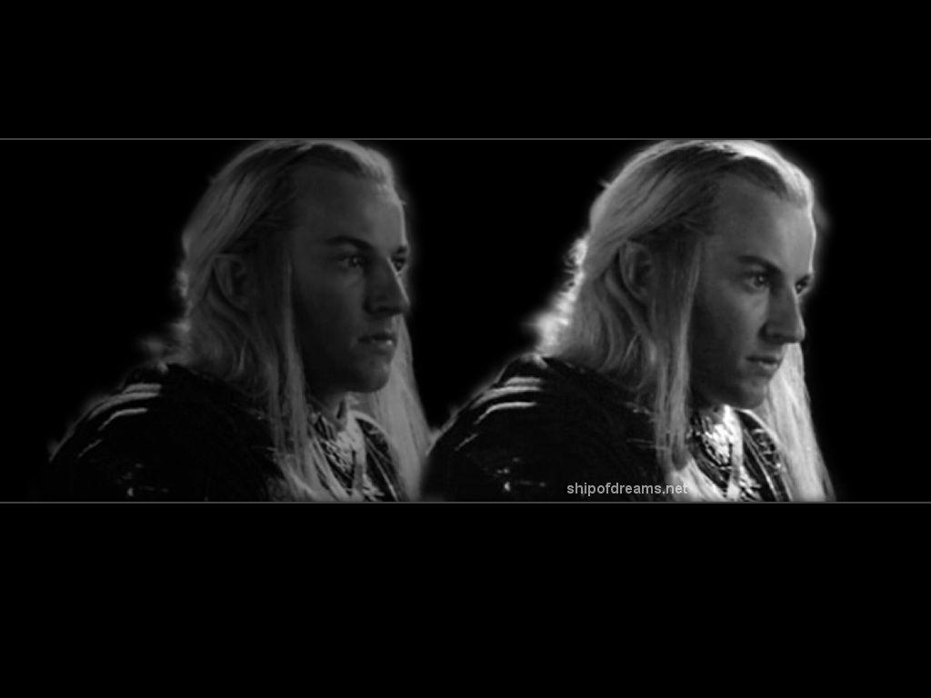 1024x768 Haldir and Lorien Elves wallpaper image