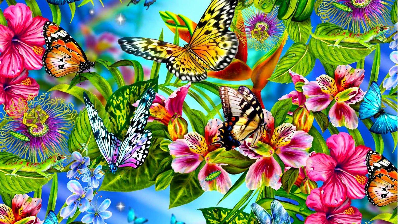 Hình nền con bướm 1600x900 Con bướm đẹp đầy màu sắc Hình nền HD