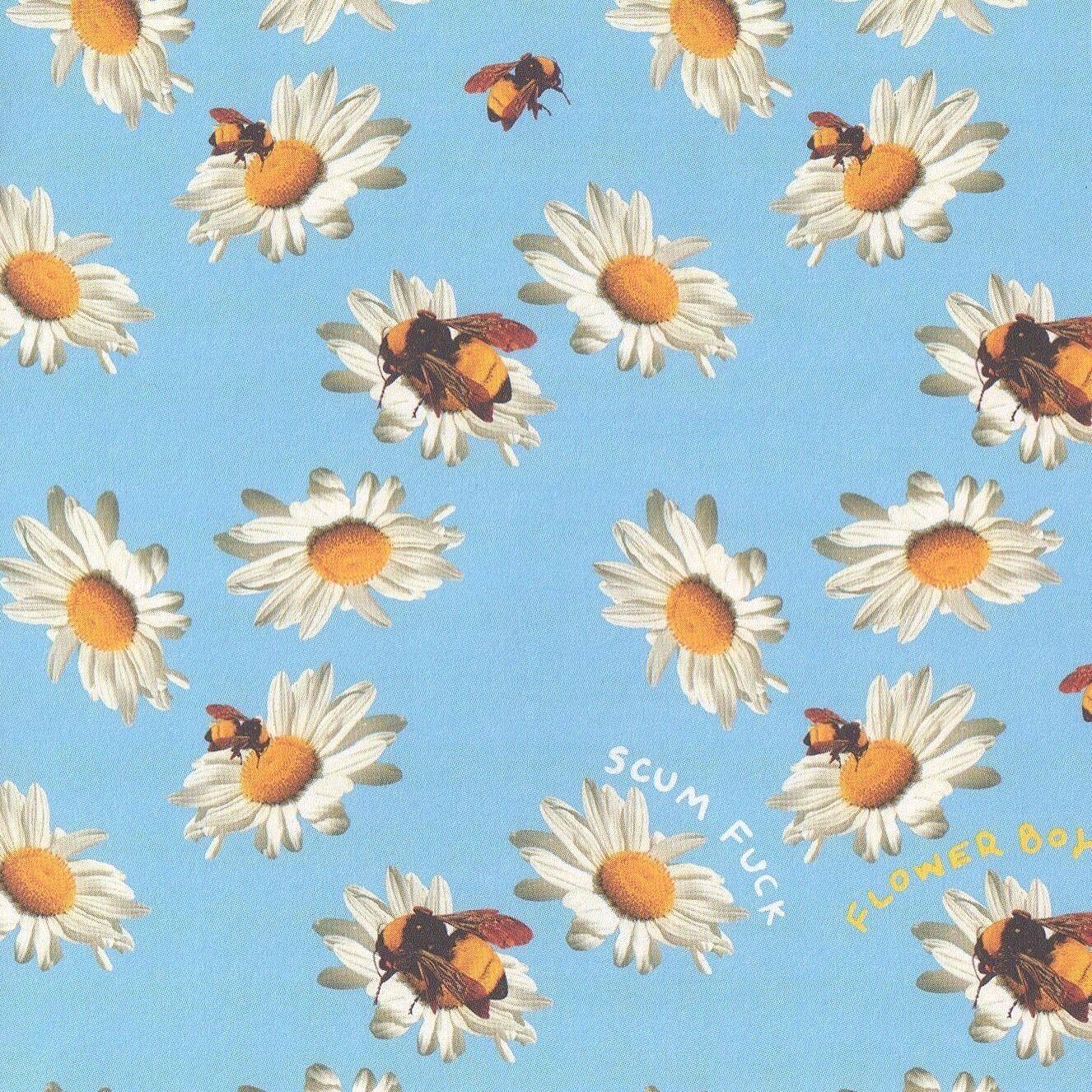 1326x1326 Awesome Tyler the Creator iPhone Wallpaper Combination