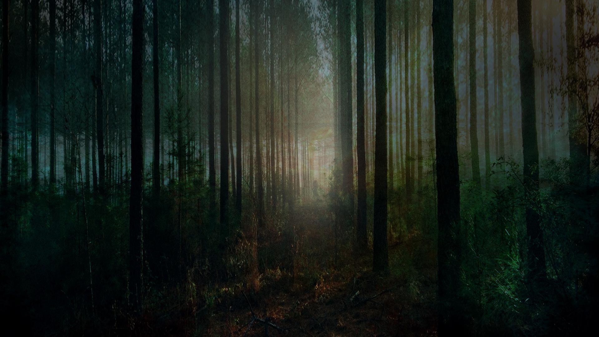 1920x1080 Forest Halloween Wallpaper