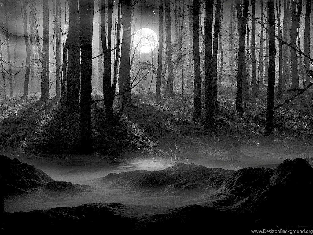 1024x768 Pins For: Creepy Forest Wallpaper From Pinterest Desktop Background