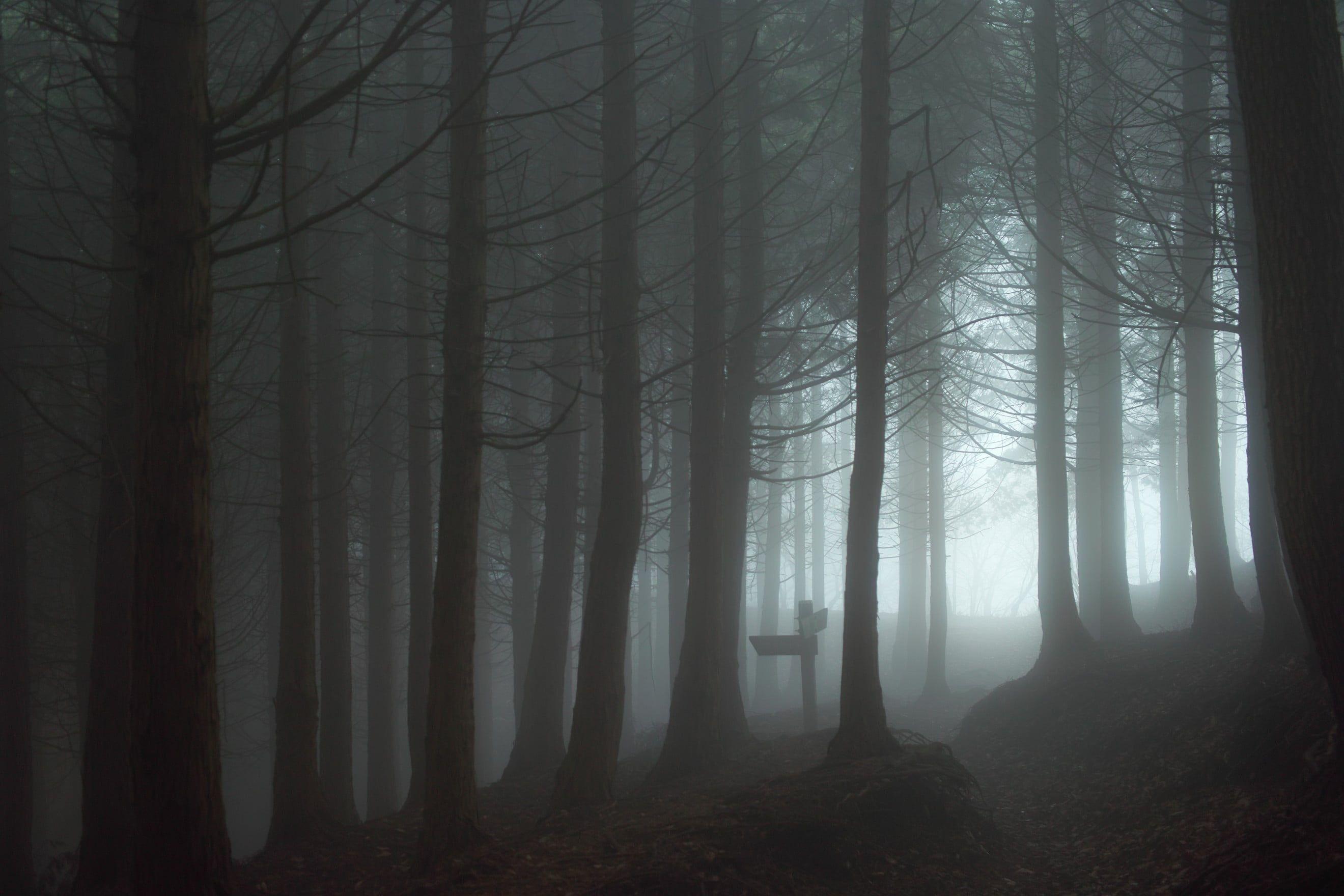 2640x1760 Eerie Wallpaper