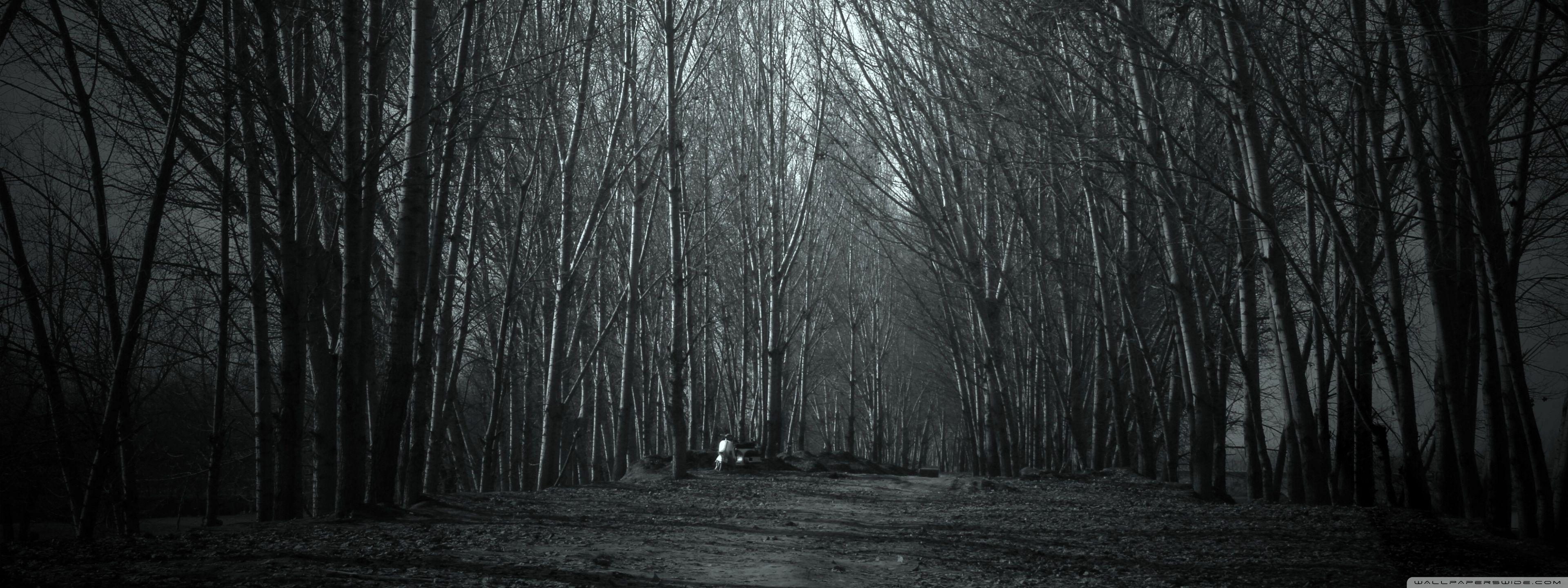 3840x1440 Haunted Forest Ultra HD Desktop Background Wallpaper for : Multi Display, Dual Monitor : Tablet