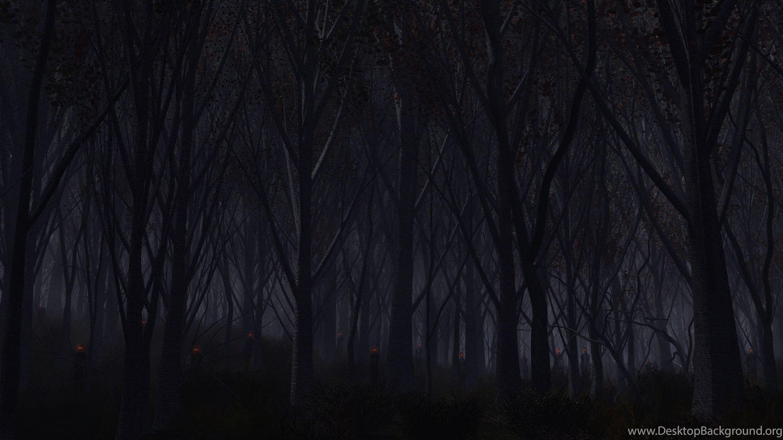 2560x1440 Haunted Forest Wallpaper