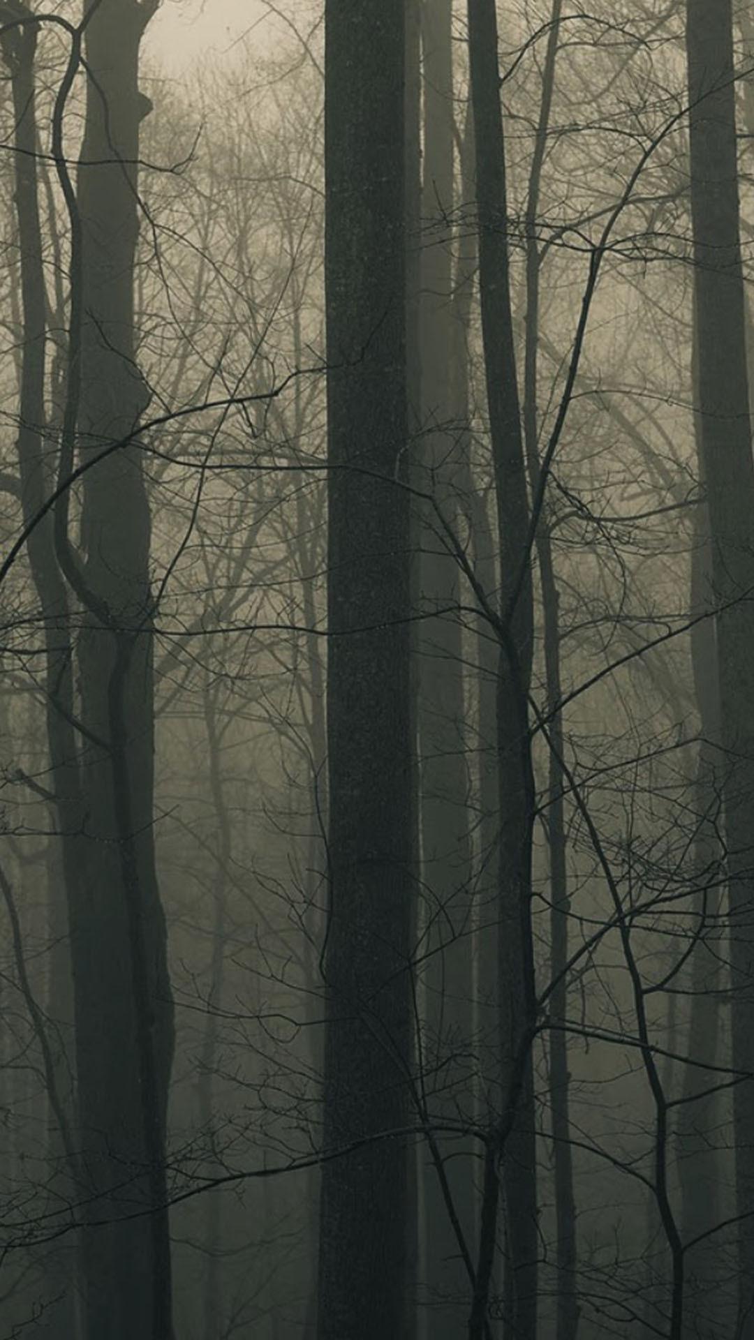 1080x1920 Forest Android Wallpaper