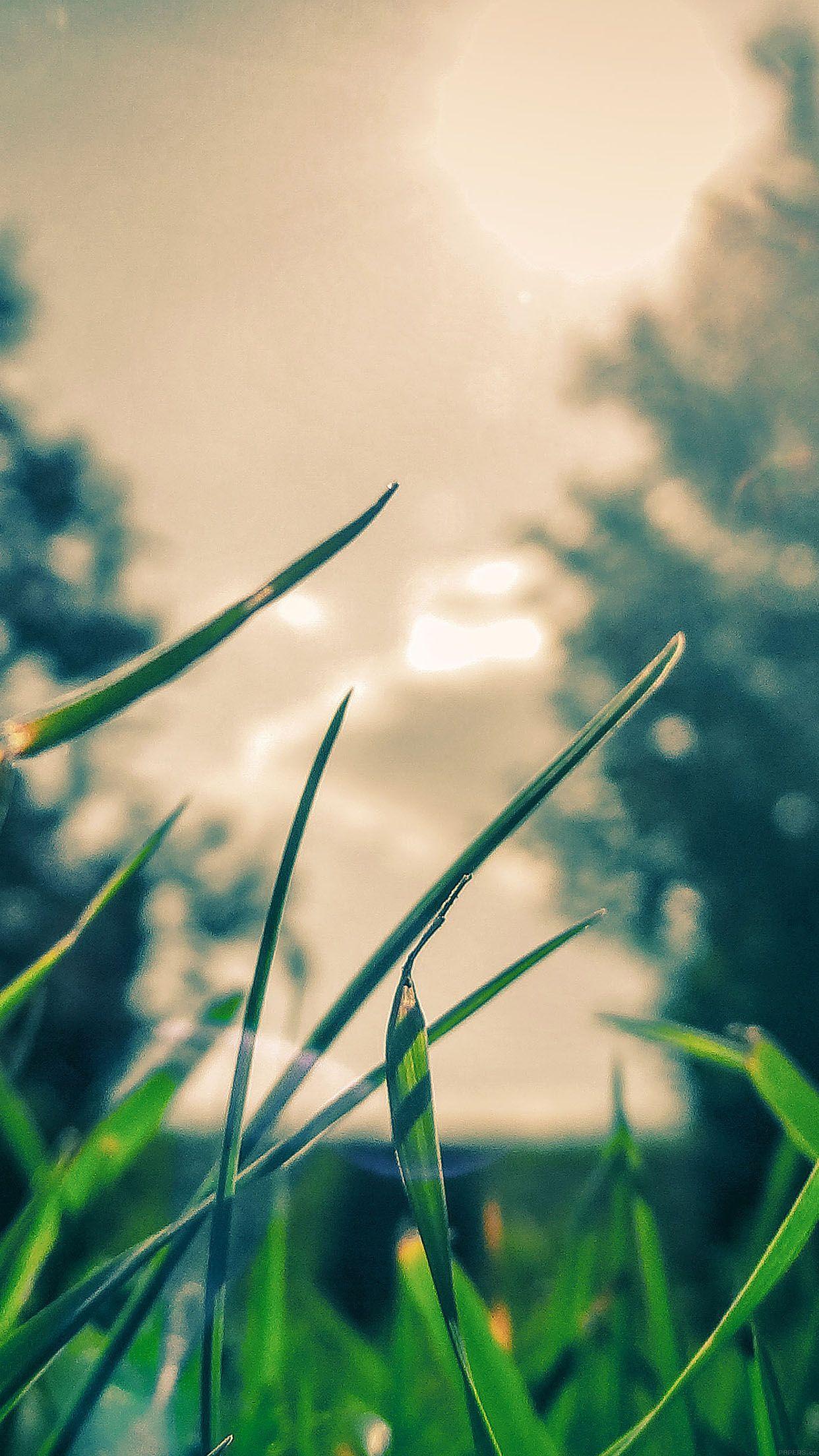 1242x2208 Great Bokeh iPhone Wallpaper