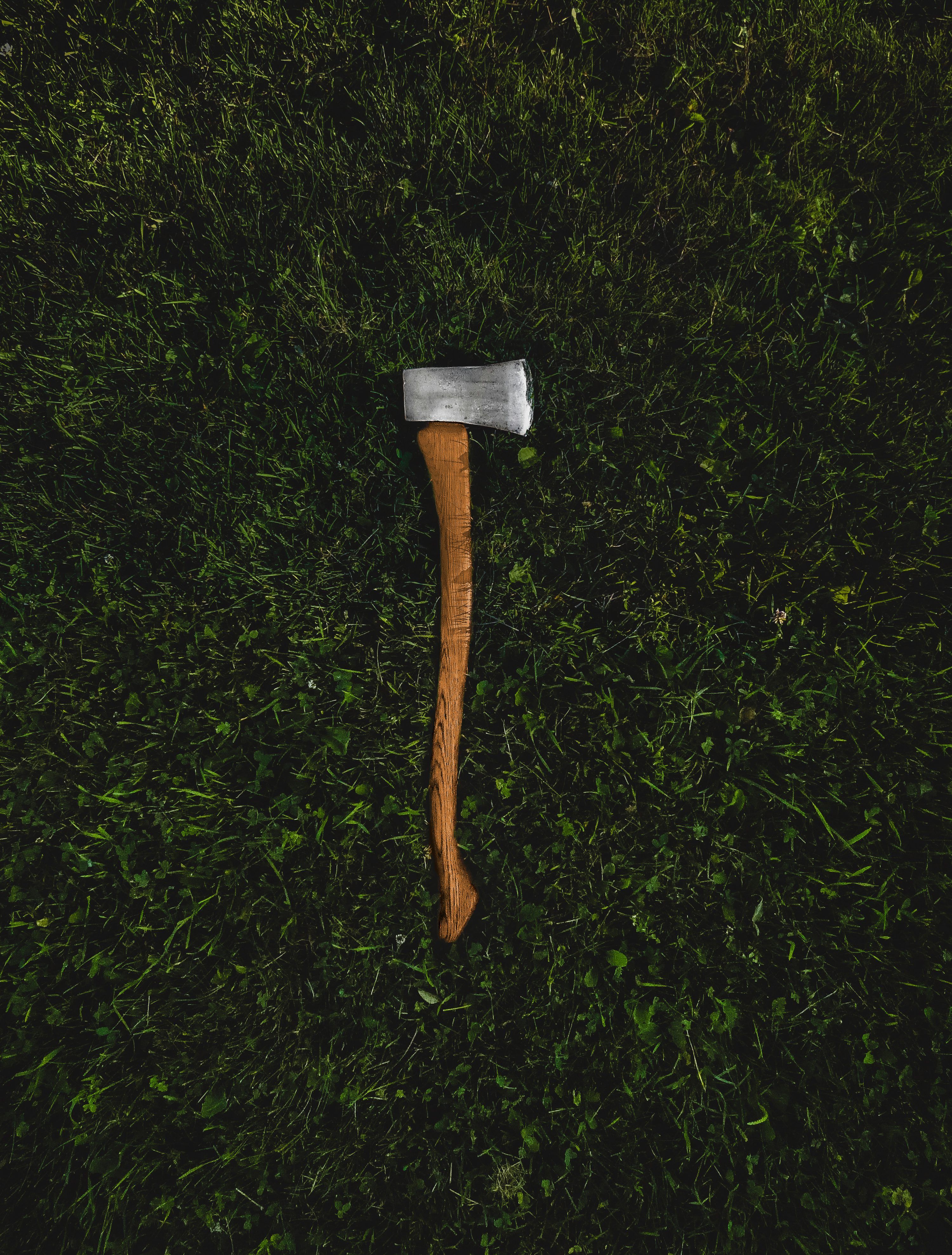 3000x3956 Axe Picture. Download Free Image