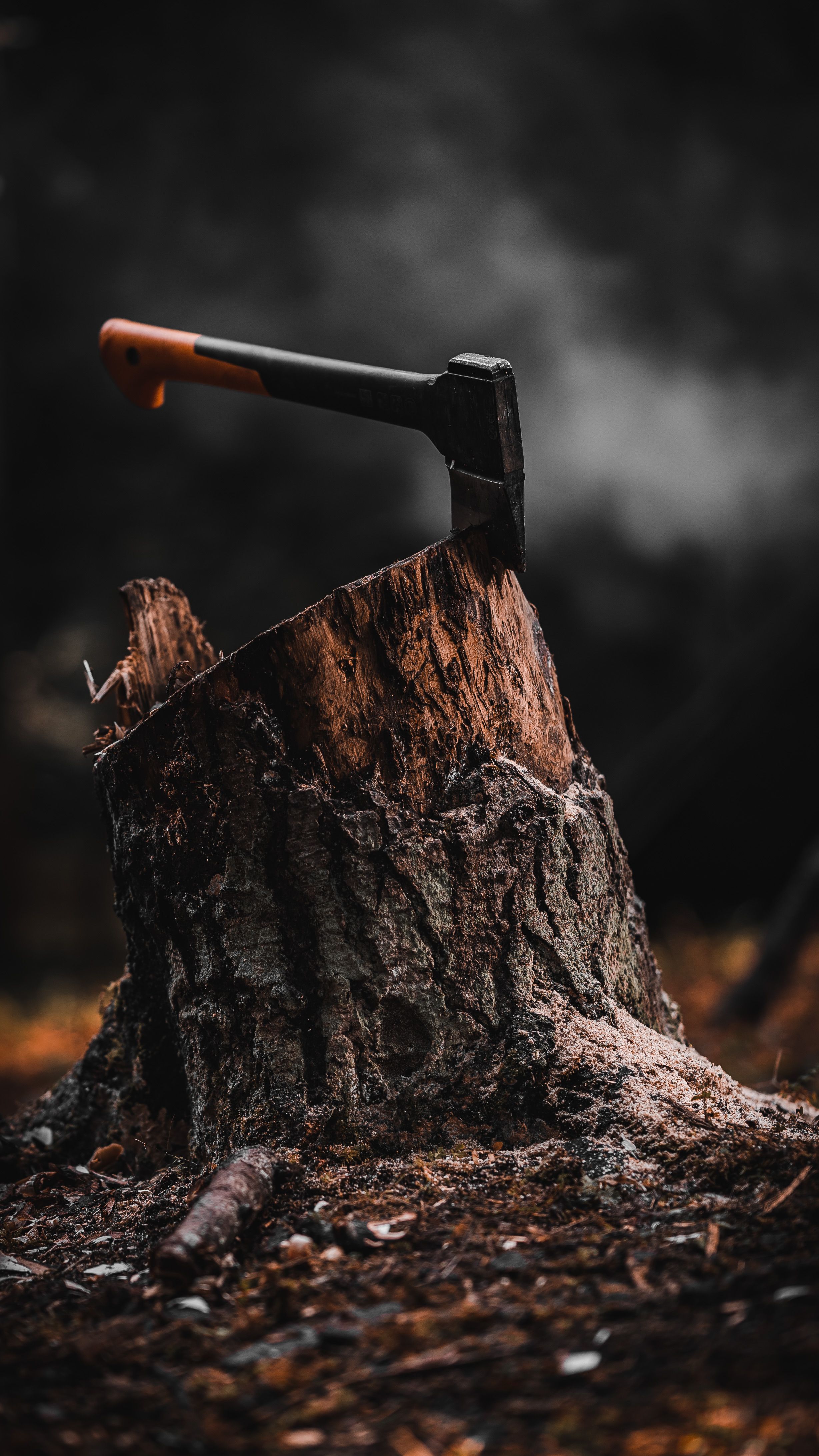 2456x4366 A Hatchet on a Wood · Free