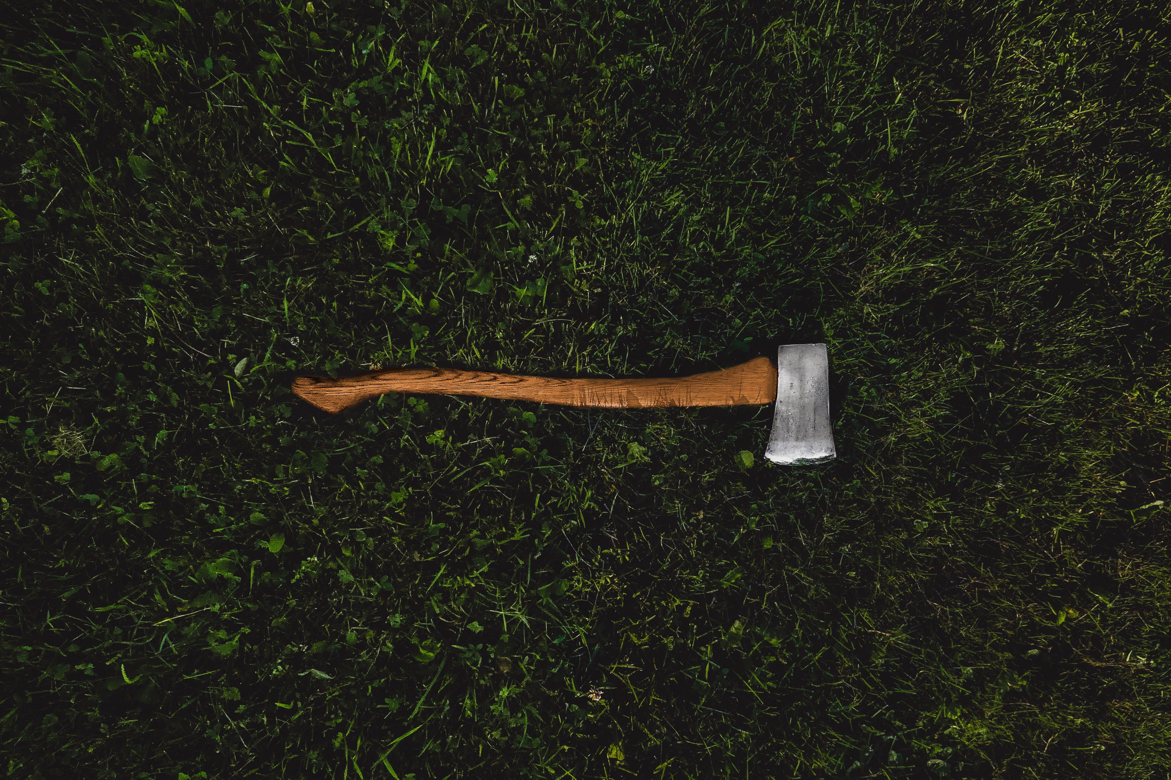 4000x2667 Axe In Grass Royalty Free
