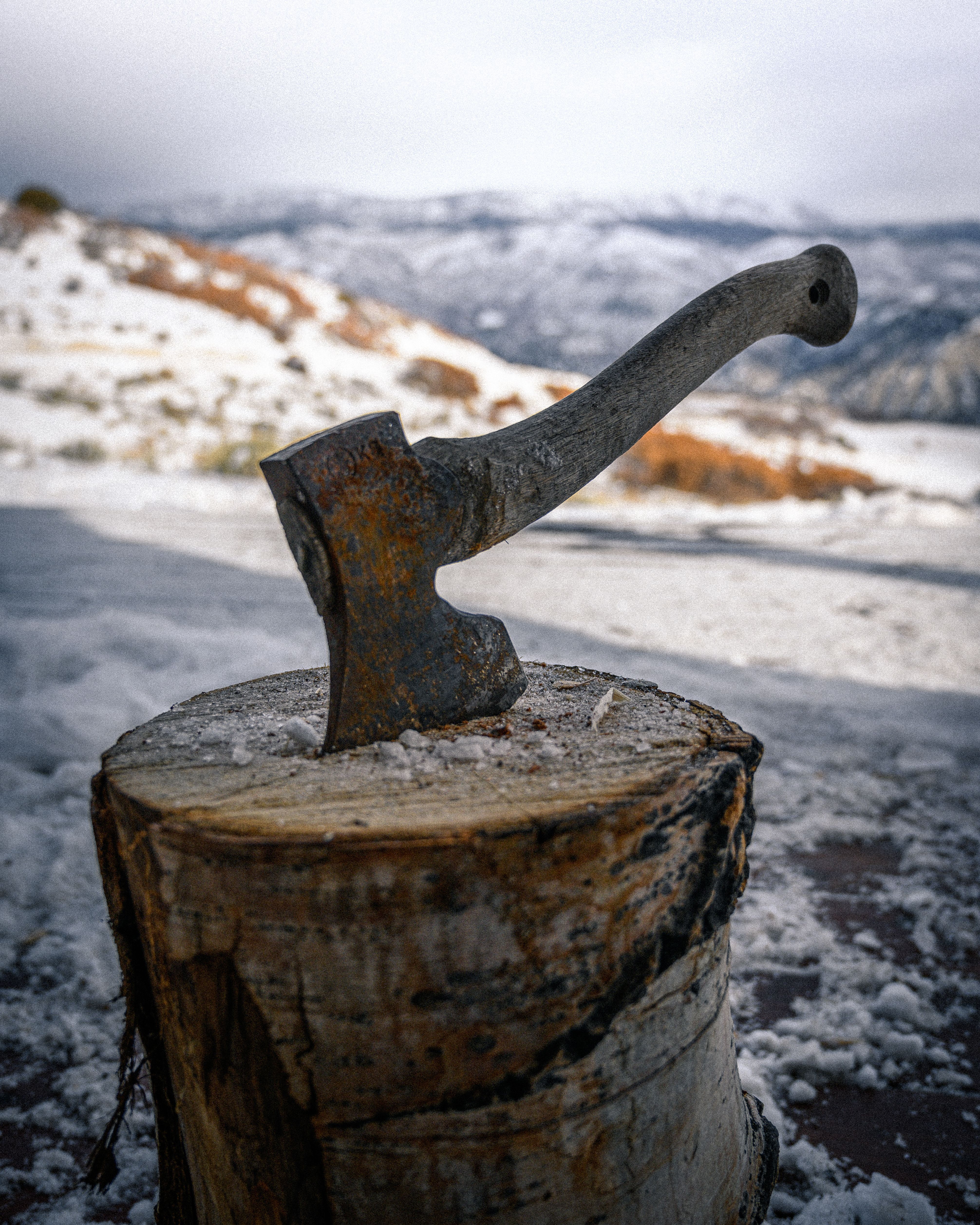 4024x5030 Hatchet Photo, Download The BEST Free Hatchet & HD Image