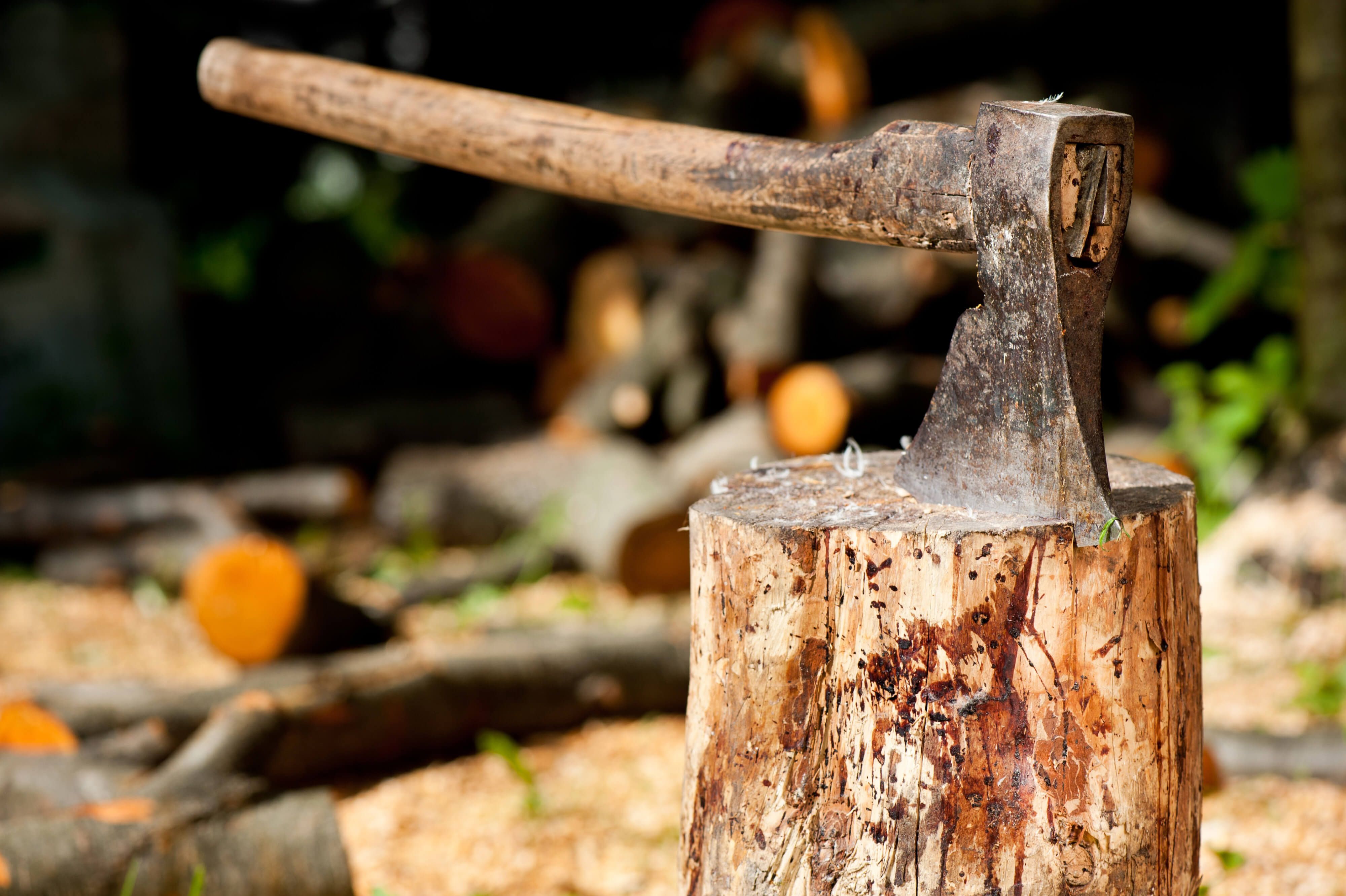 4000x2662 Wallpaper axe, metal, wood, trunk for mobile and desktop, section оружие, resolution 4000x2662