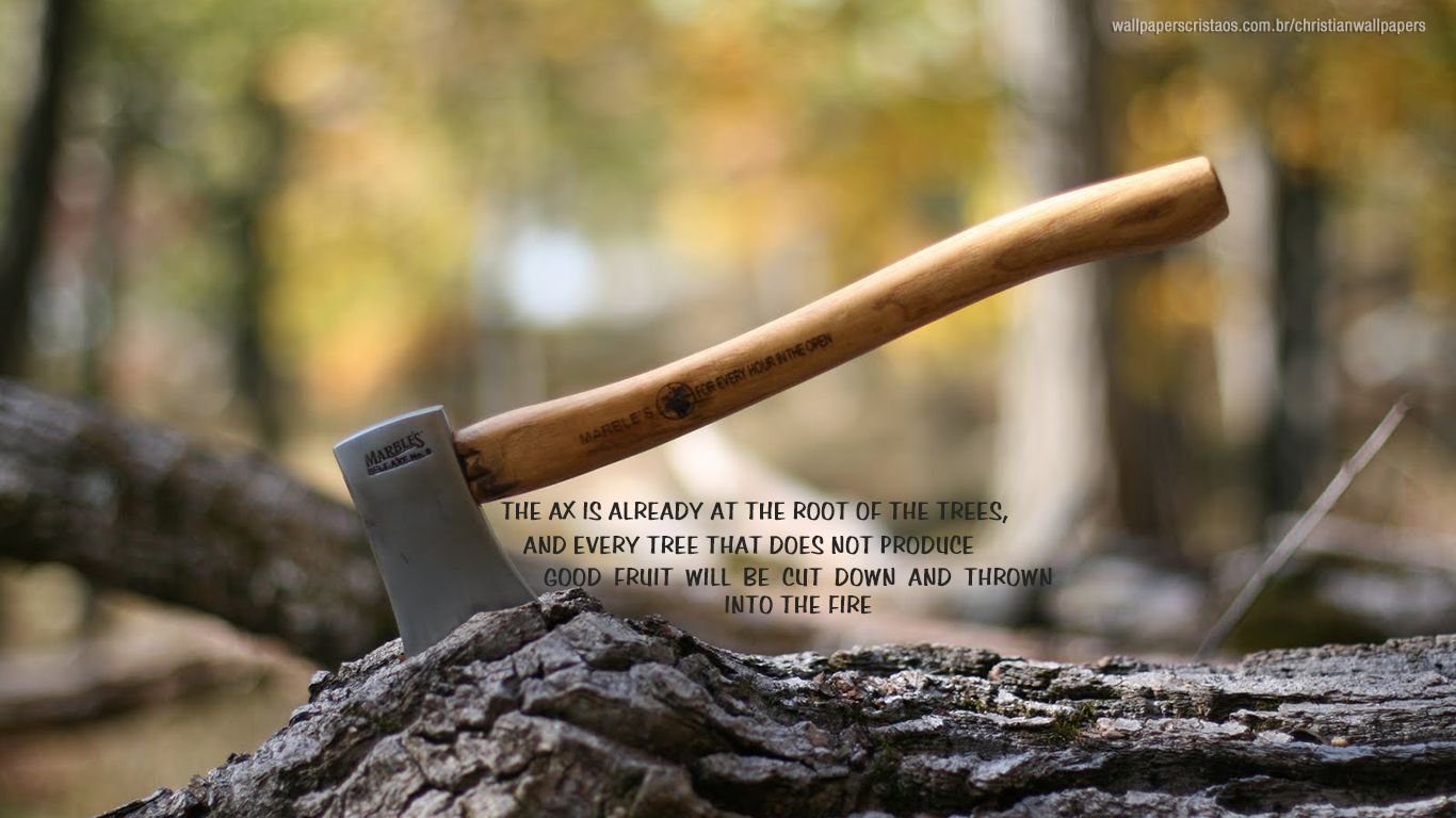 1366x768 The Ax!