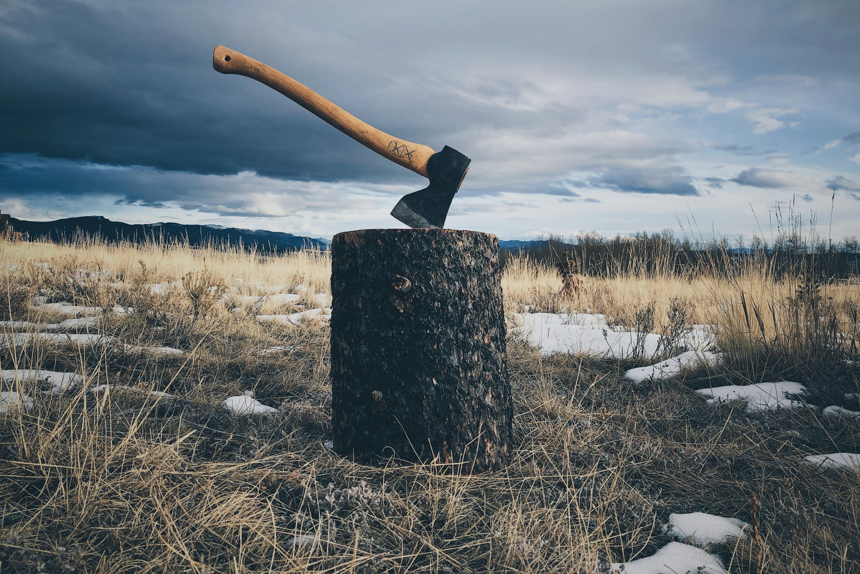 3000x2002 Axe Picture. Download Free Image