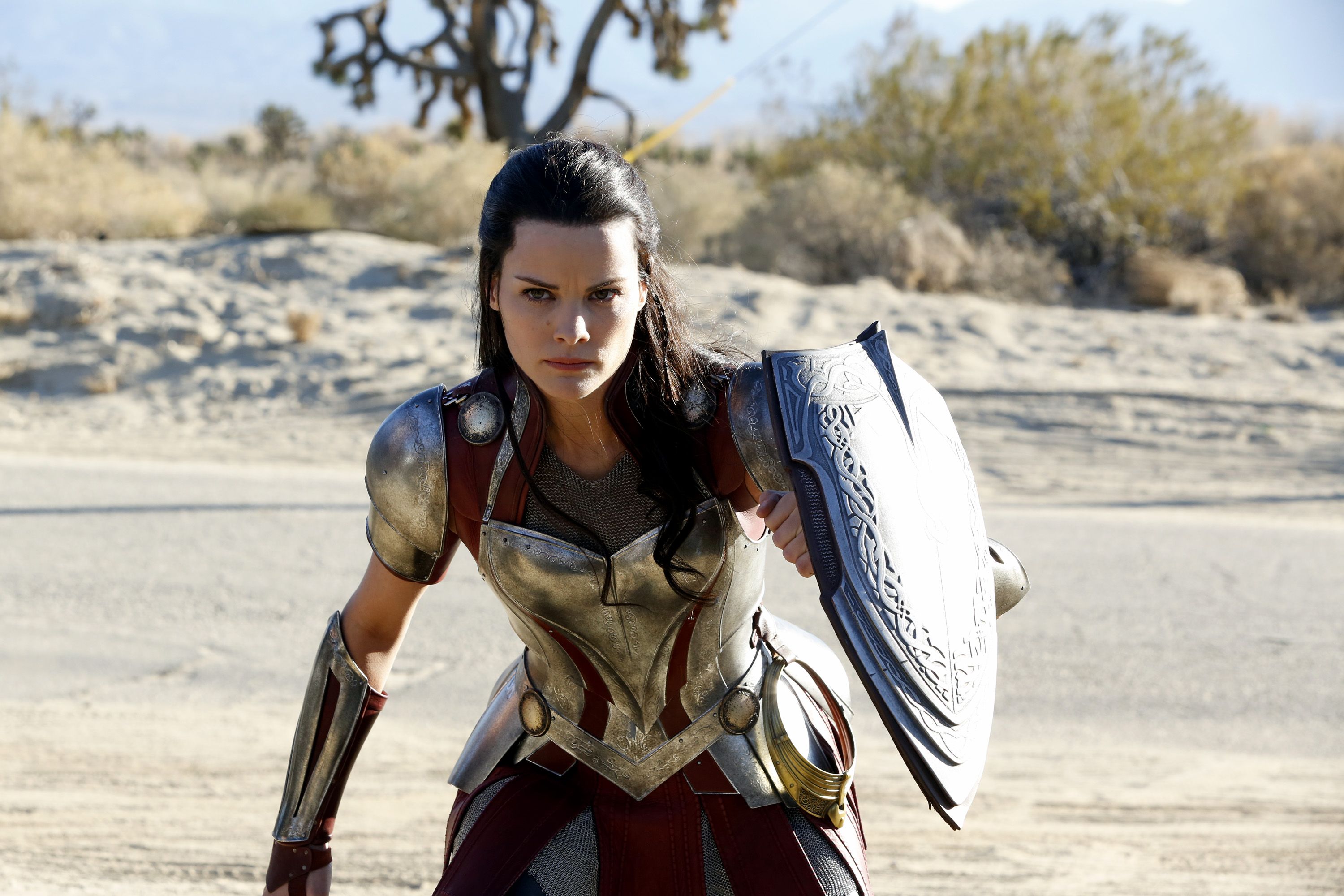 3000x2000 Lady Sif Agents of Shield Wallpaper, HD Tv Shows Wallpaper, 4k Wallpaper , Image, Background, Photos and Picture