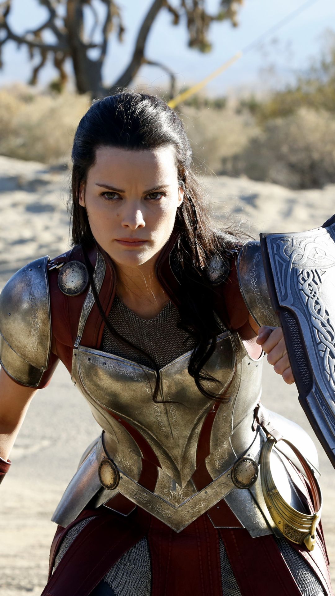1080x1920 Phone wallpaper: Tv Show, Marvel's Agents Of S H I E L D, Sif (Marvel Comics) 1275991