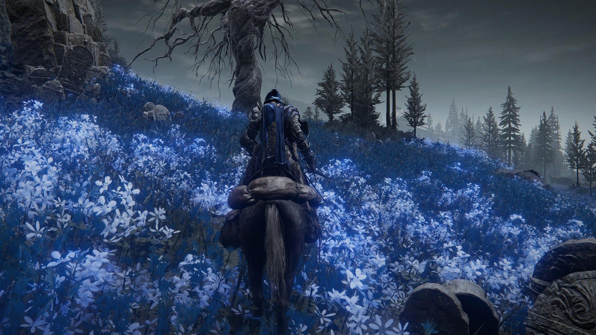 1920x1080 Elden Ring: Shadow of the Erdtree Review: Massive, Menacing, And Magnificent