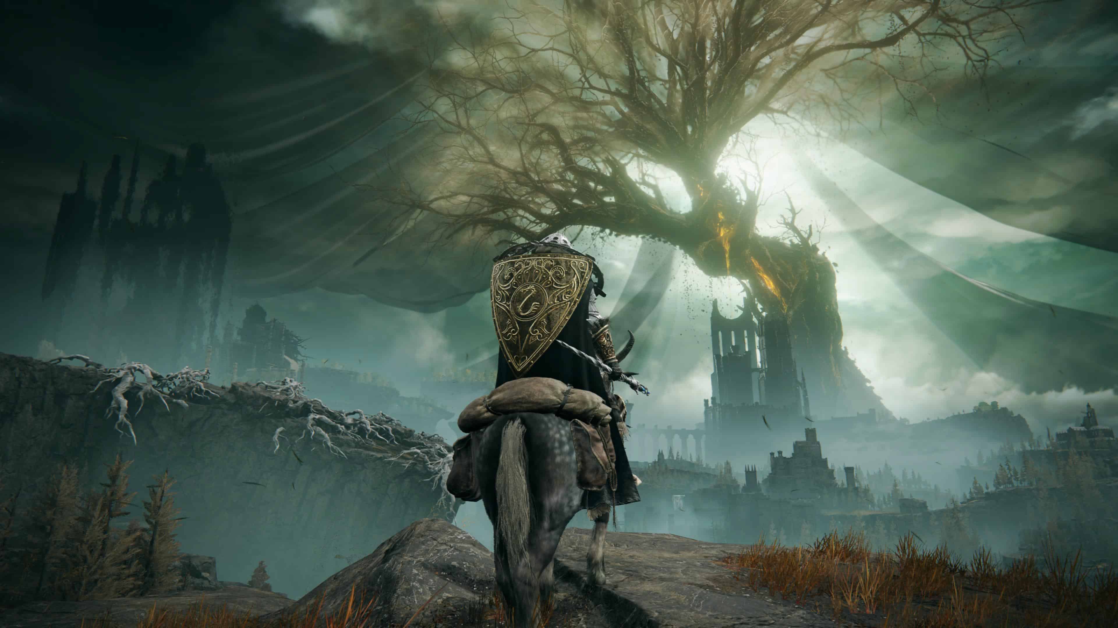 3840x2160 Elden Ring: Shadow of the Erdtree Review Peaks and Valleys