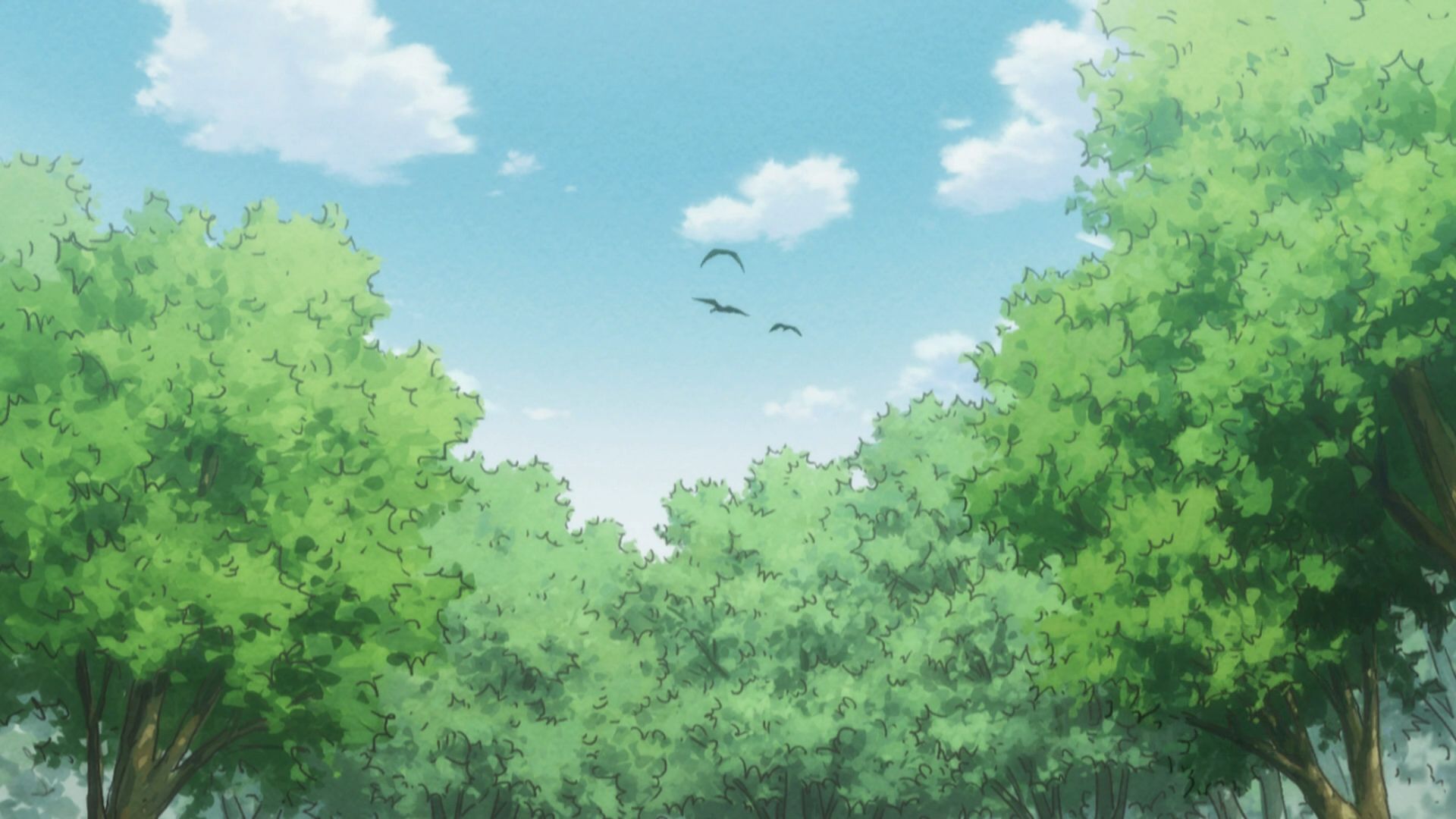 1920x1080 Anime Landscape: Hunter X Hunter Anime TOP 10 Background