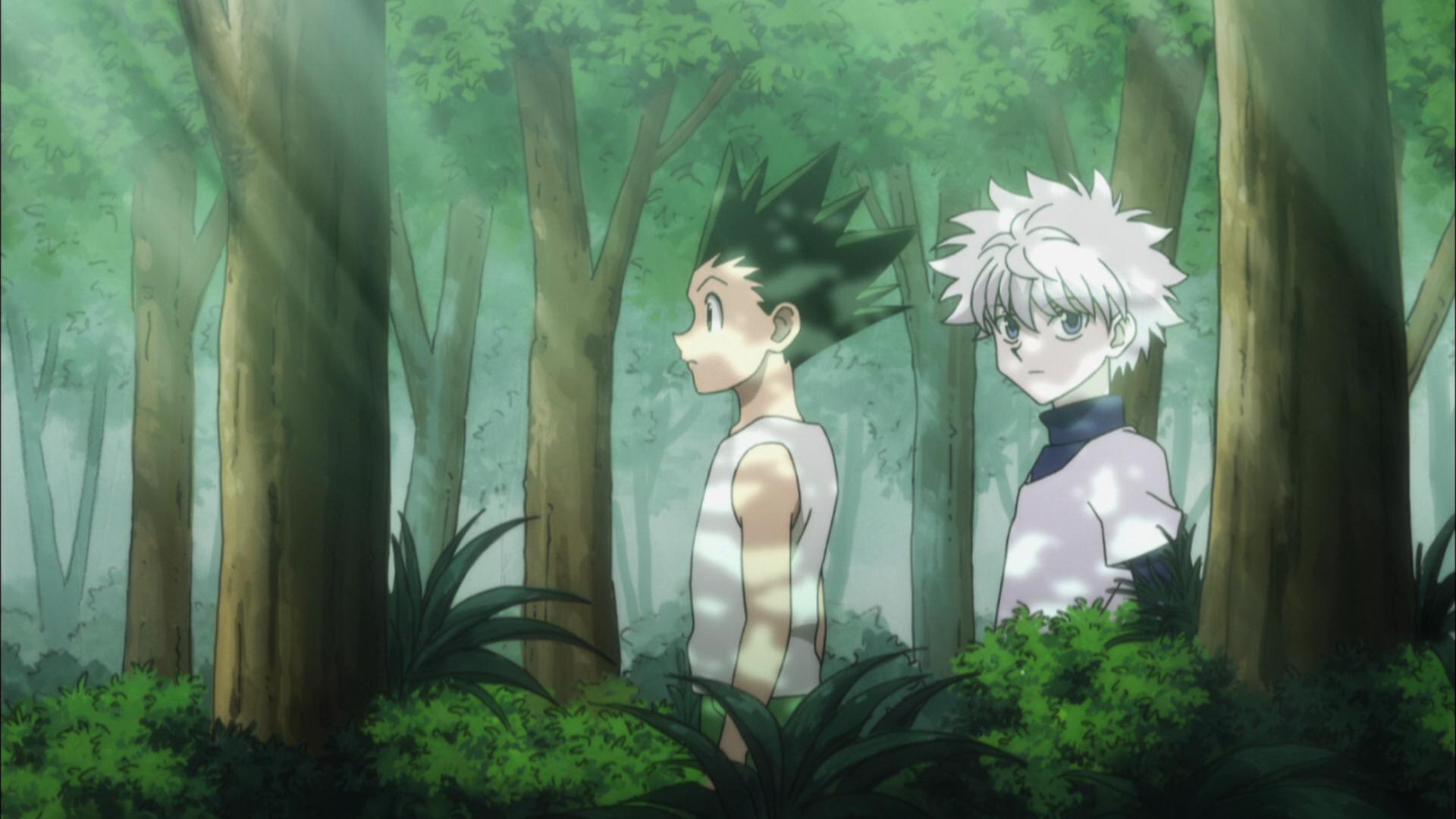 1920x1080 Hunter X Hunter (TV Series 2011–2014)