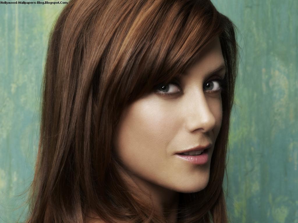 1024x768 Popular World Celebrity or Celebrities: Kate Walsh Wallpaper