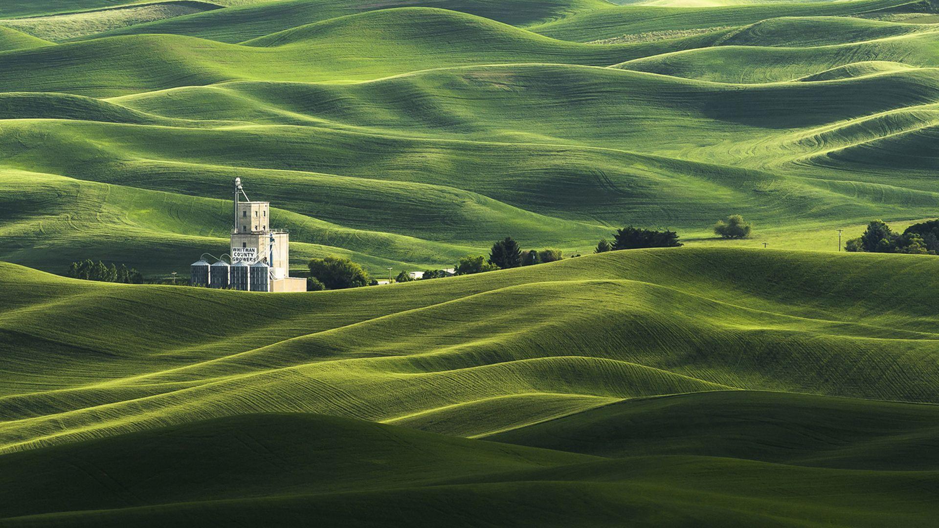 1920x1080 Award Winning Photographs HD Wallpaper & Background • 25937 • Wallur