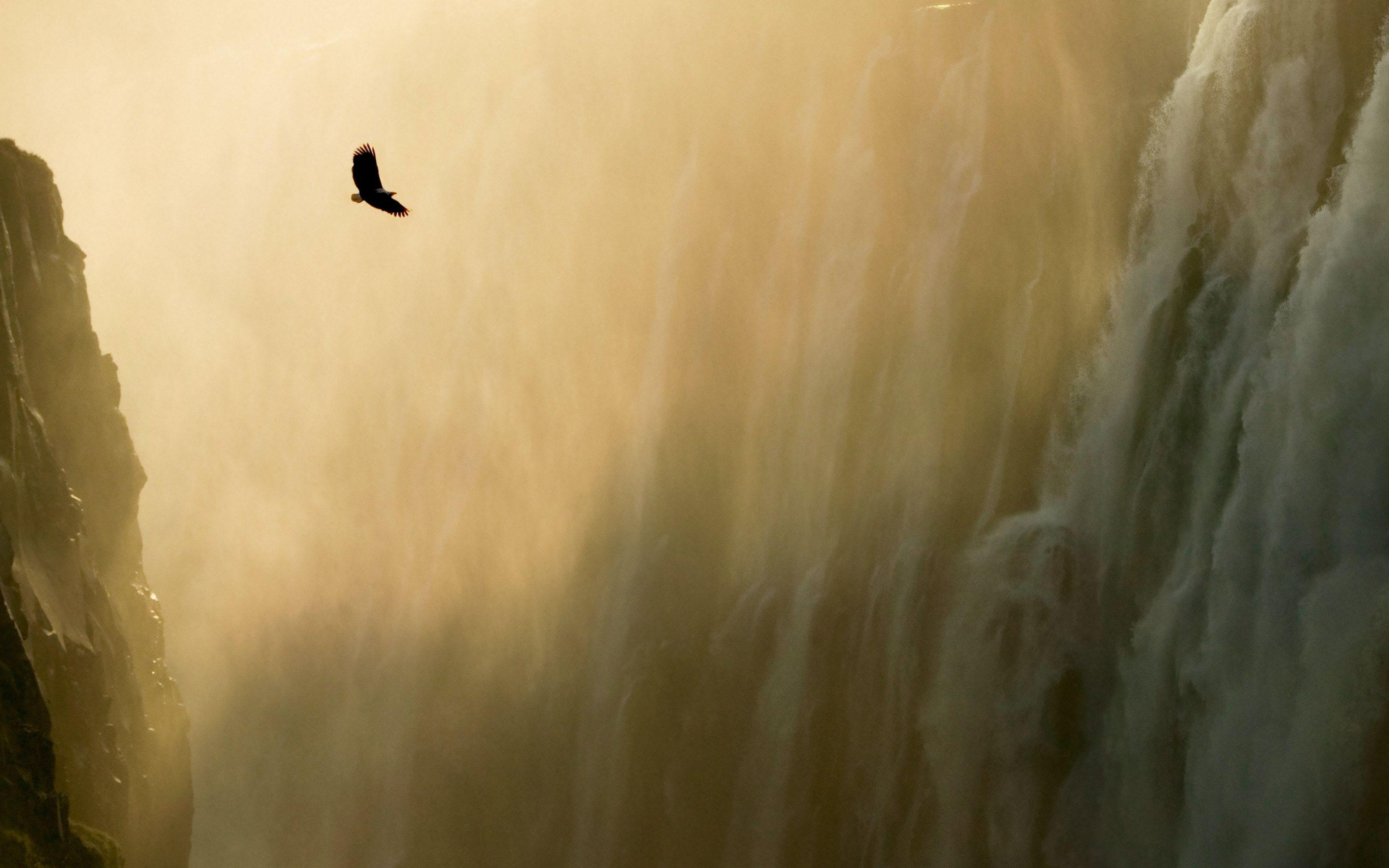 3200x2000 Eagle Waterfall Apple Mac Osx Lion Wallpaper