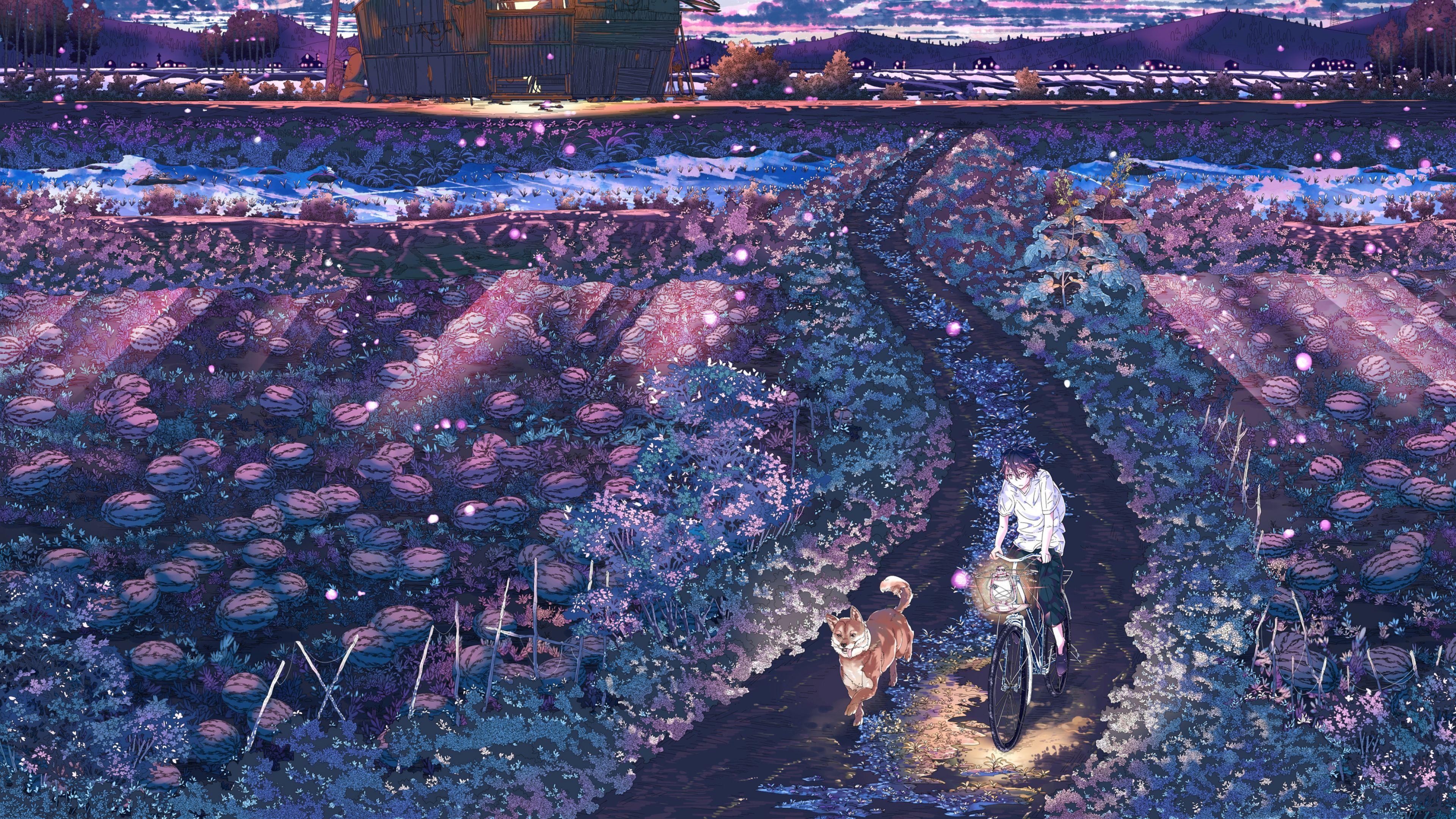 3840x2160 Anime Field 4k Wallpaper