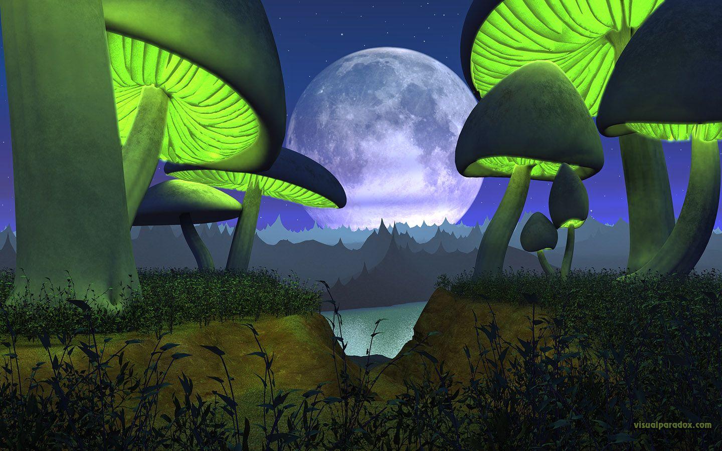 3D Firefox Wallpapers - Top Free 3D Firefox Backgrounds - WallpaperAccess