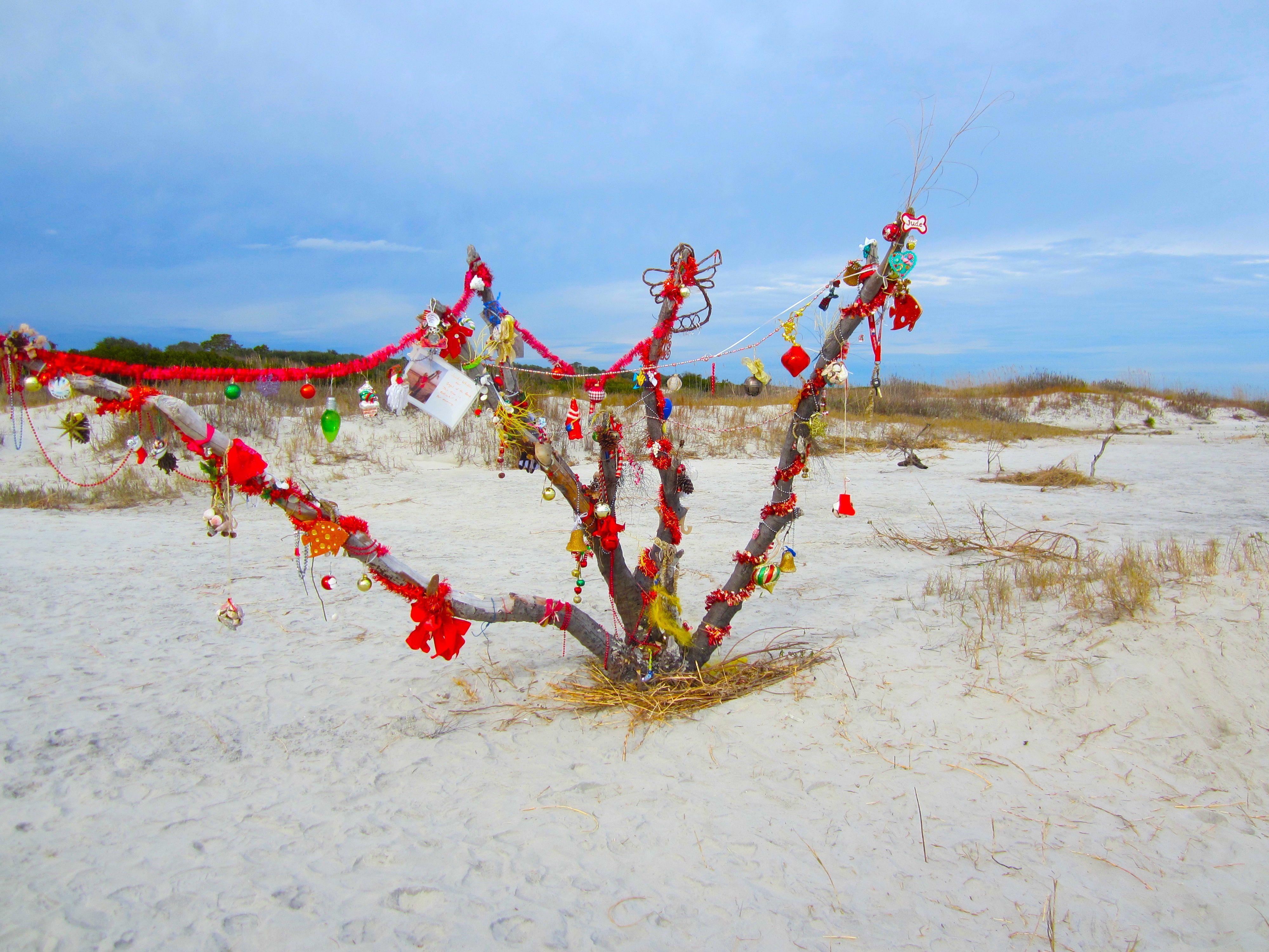 4000x3000 Beach Tree at Christmas