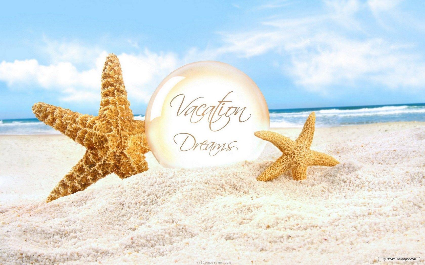 1680x1050 Free Animal Wallpaper Christmas Beach