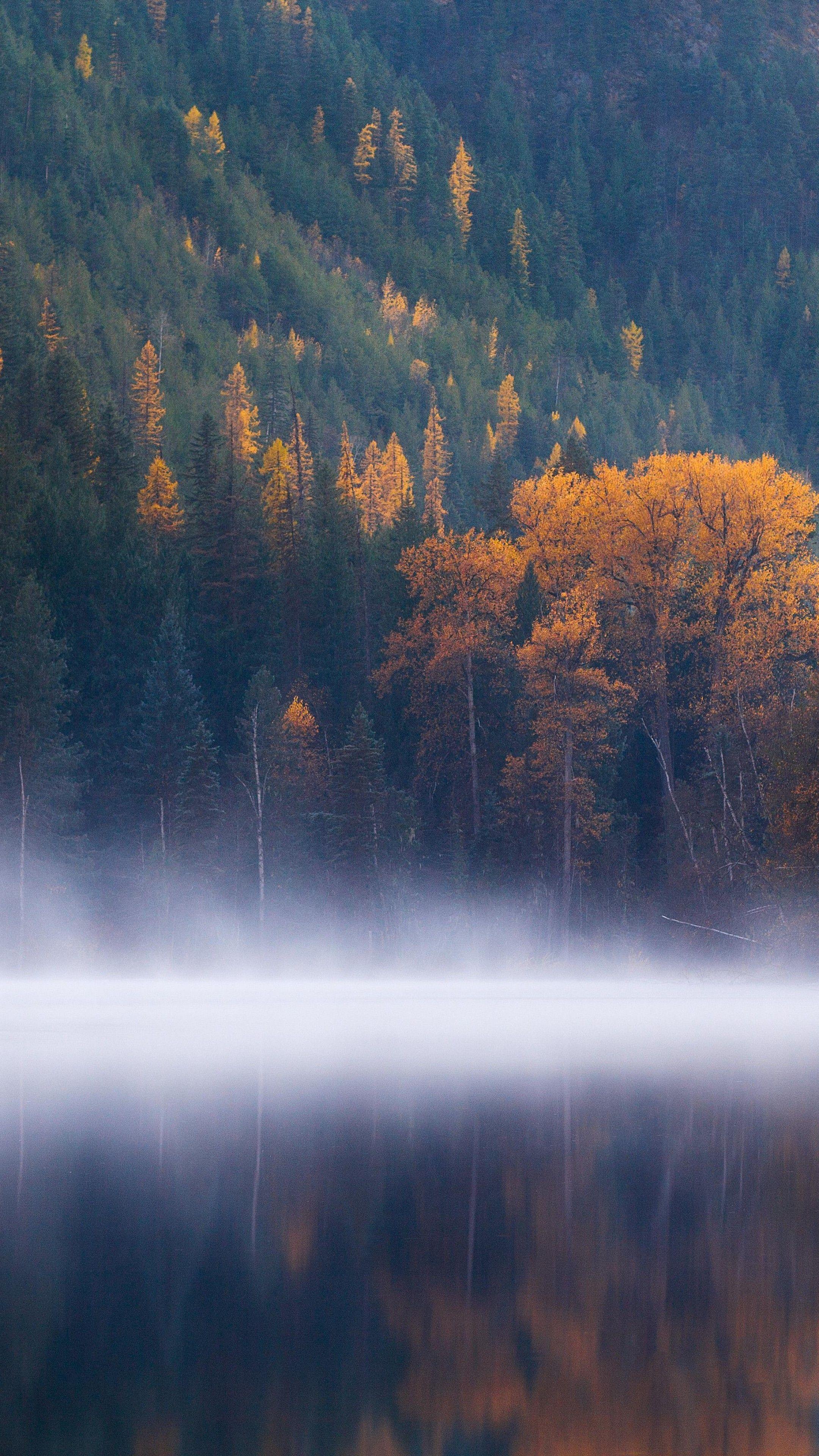 2160x3840 Wallpaper Echo Lake, forest, trees, fog, Columbia, autumn, 5k