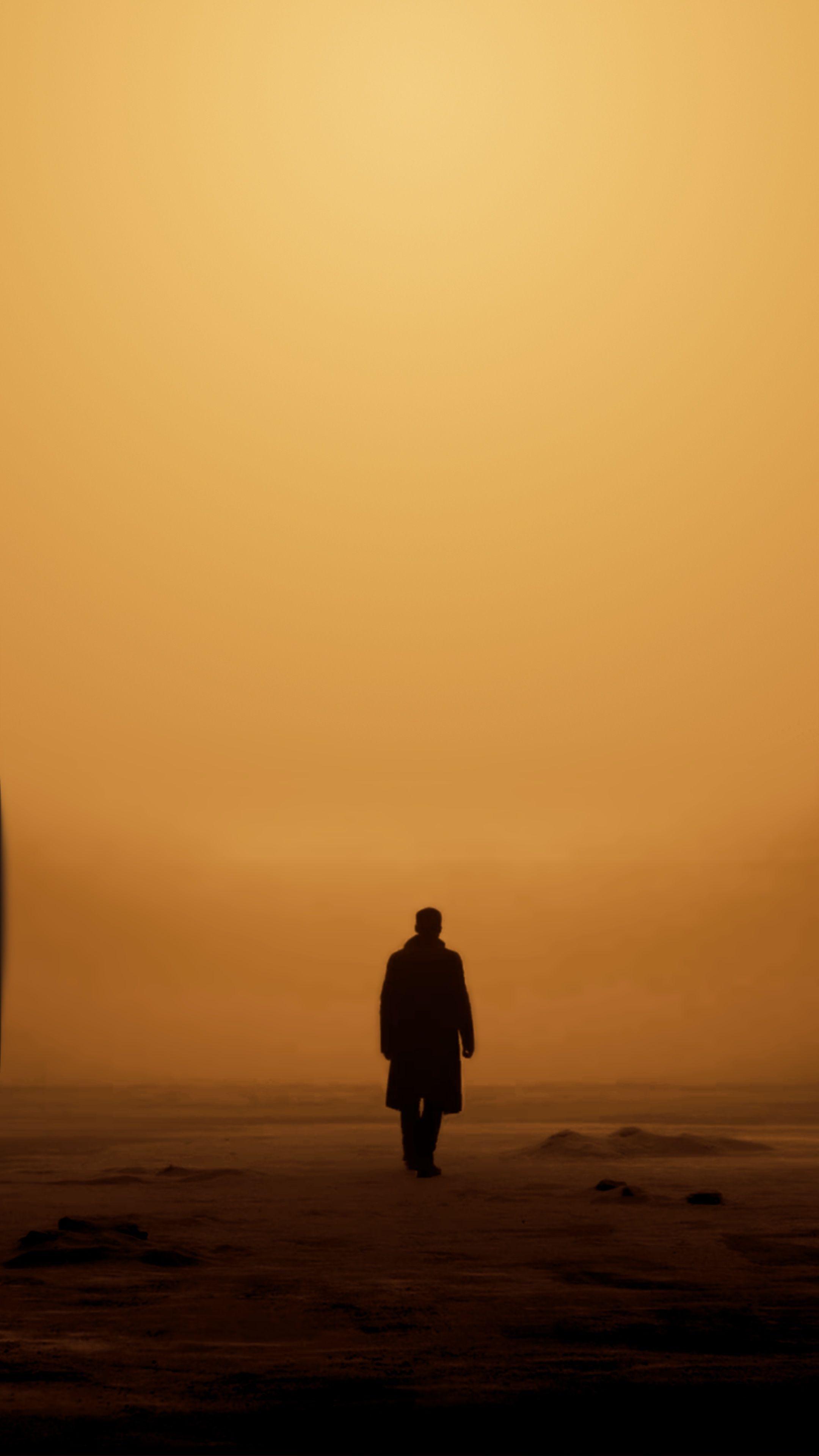 2160x3840 Blade Runner 2049 Wallpaper for Your .