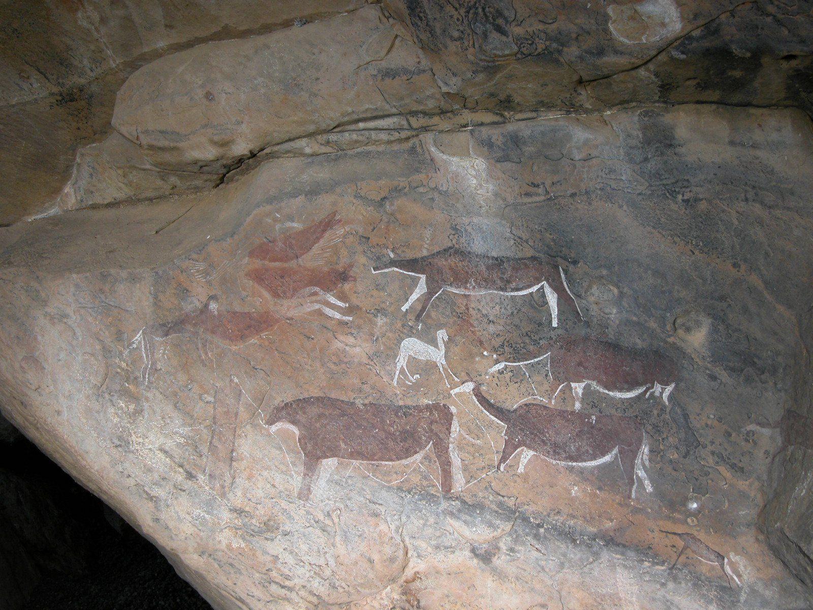 1600x1200 In South Africa, Discovering the World's Oldest Drawing
