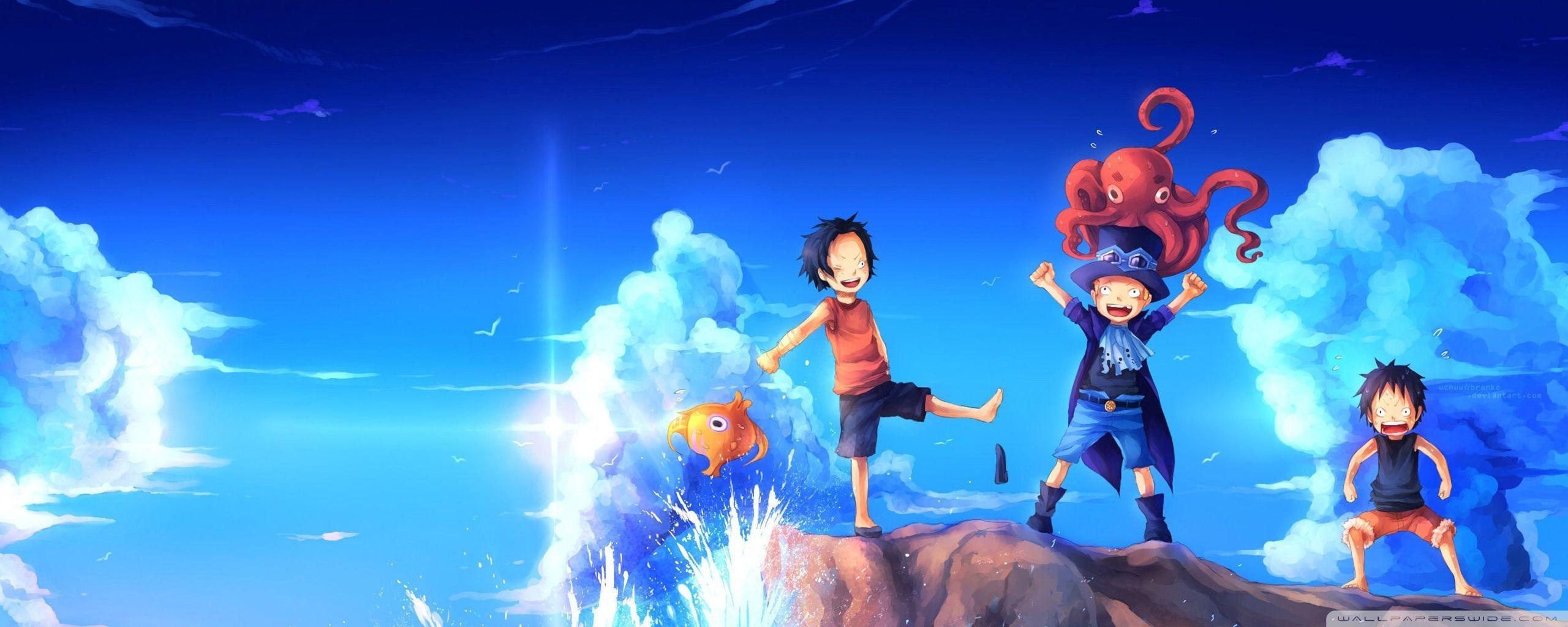 One Piece Dual Screen Wallpapers Top Free One Piece Dual Screen 