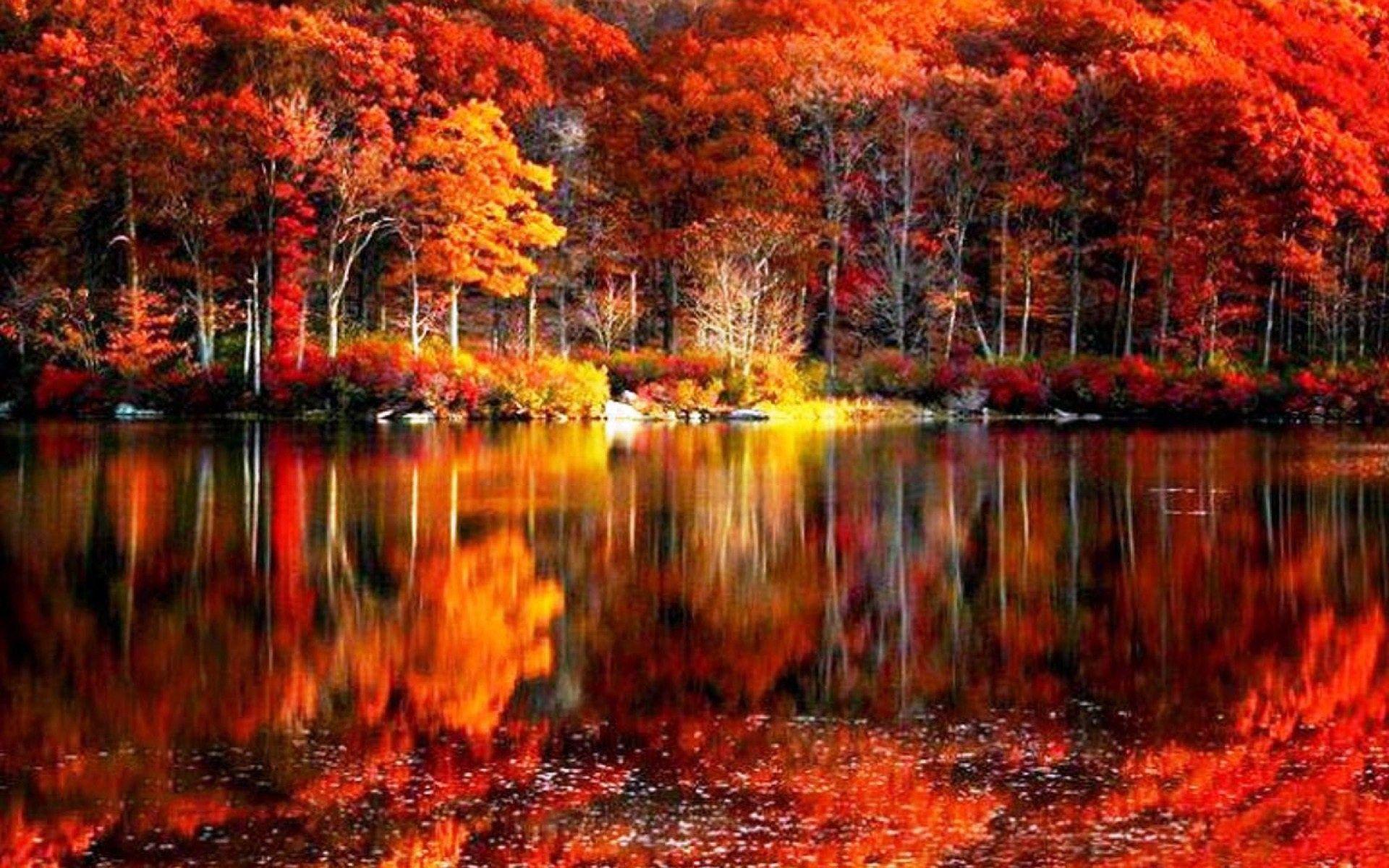1920x1200 Fall Scenery Wallpaper for Computer