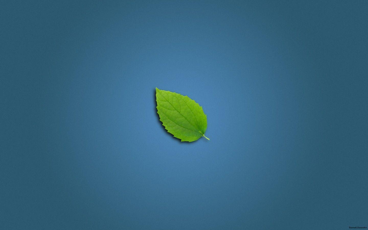 1440x900 Clean Wallpaper HD