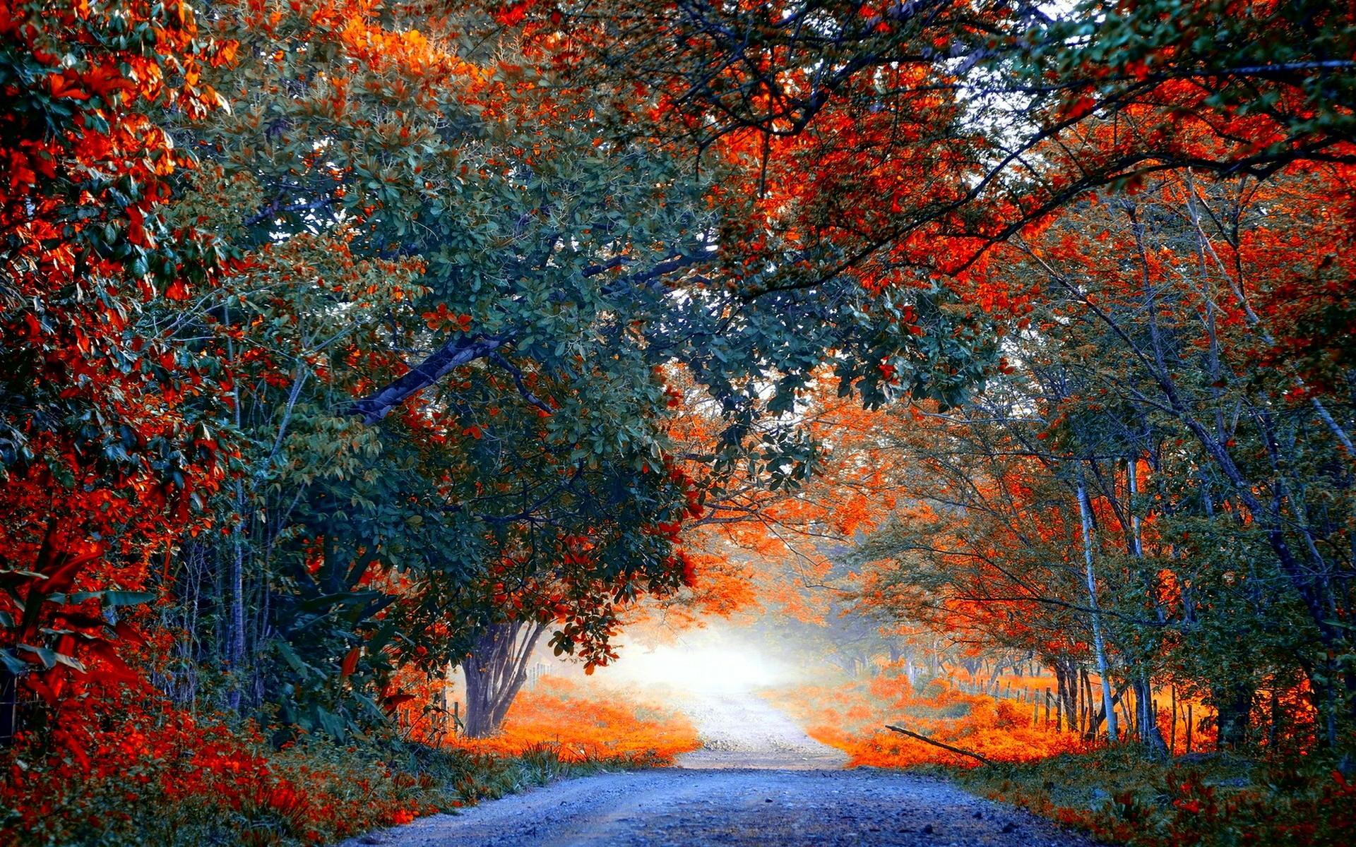 1920x1200 Fall Pc Wallpaper