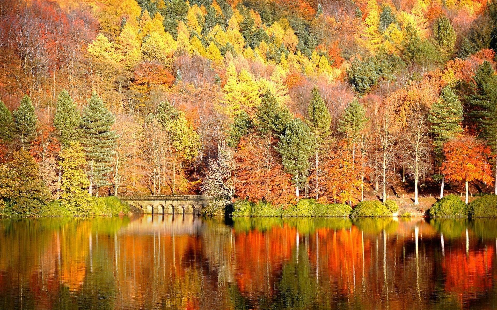 1920x1200 Fall Wallpaper