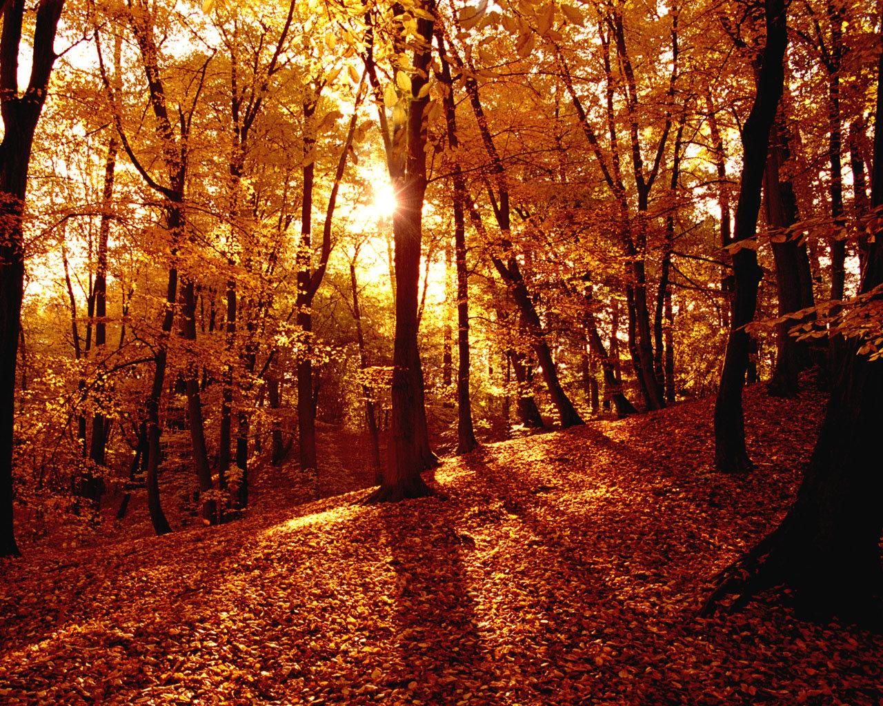 1280x1024 wallpaper nature