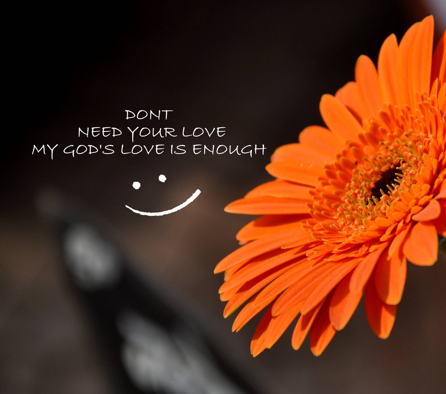 1446x1280 Gods love is enough wallpaper