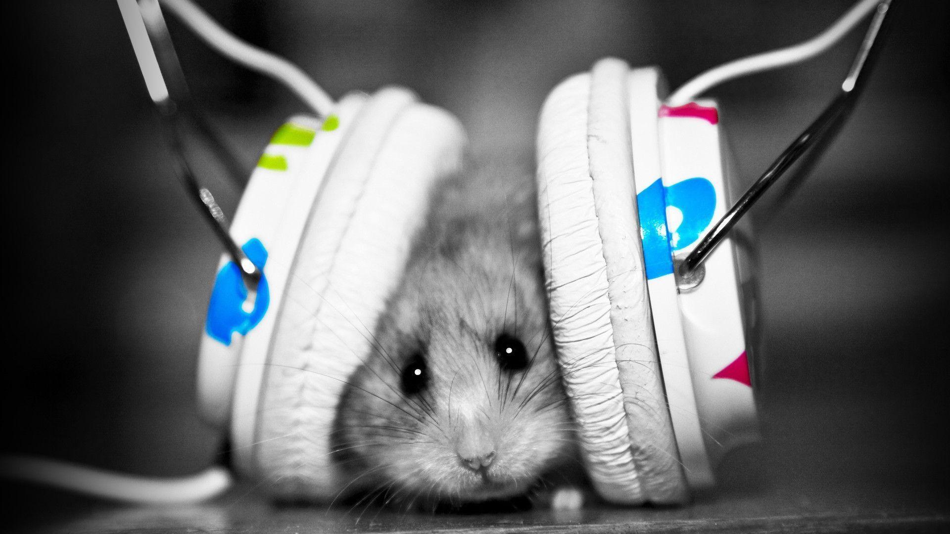 1920x1080 Music Computer Background