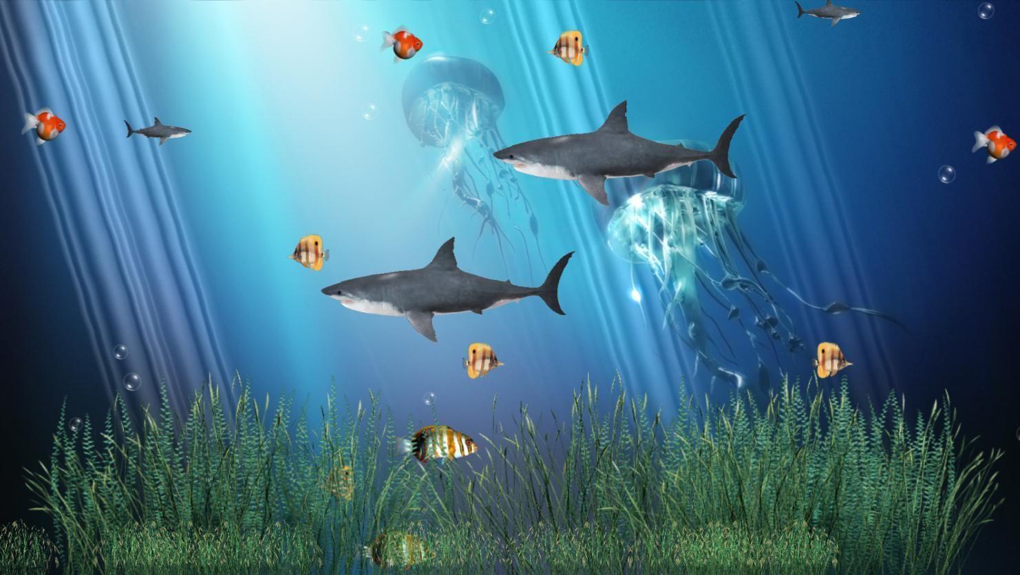 1482x836 3D Motion Wallpaper. Coral Reef Aquarium