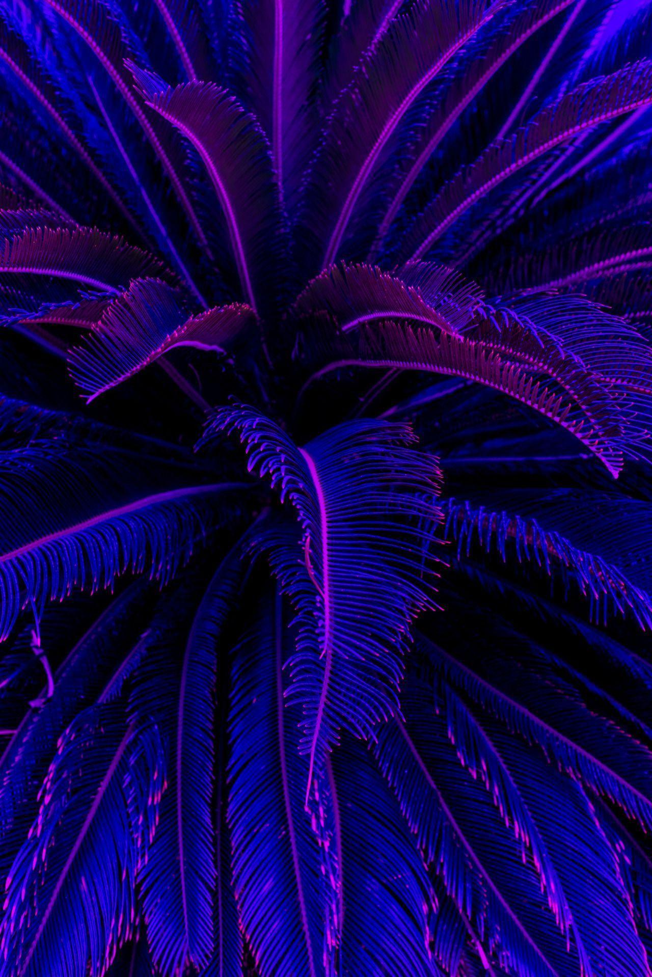 1280x1918 Aesthetic iPhone X Wallpaper