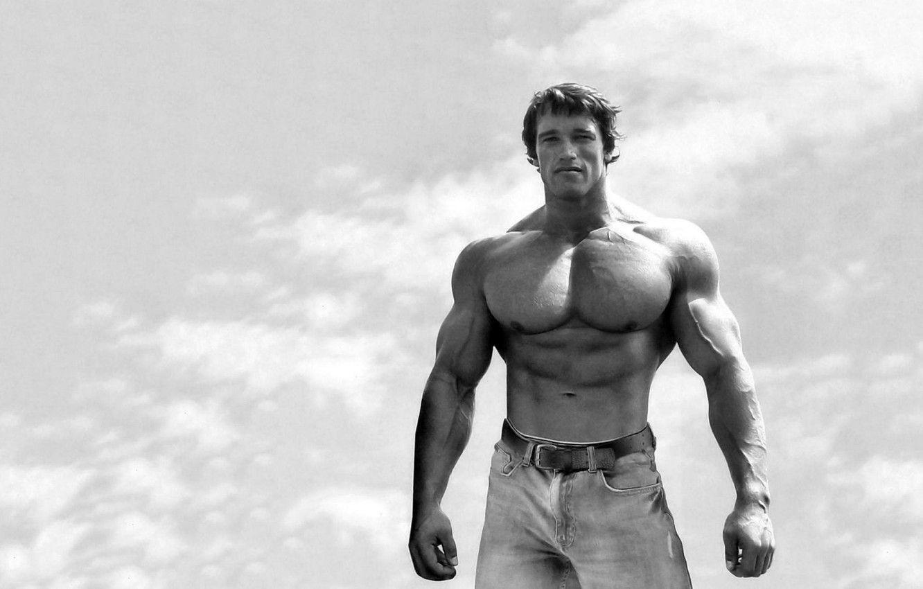 1332x850 Wallpaper Arnold Schwarzenegger, Bodybuilding, Bodybuilding, Iron